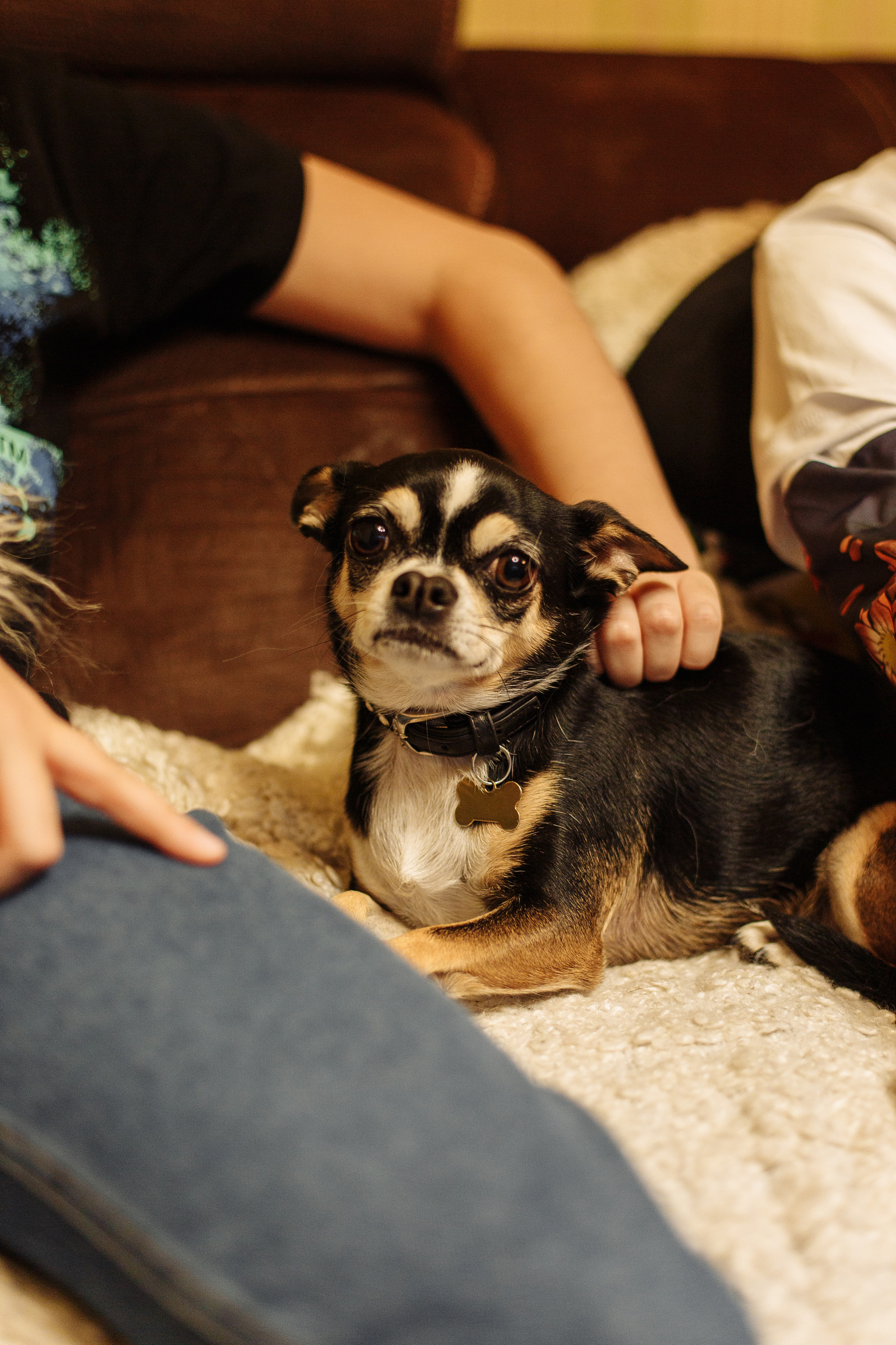 День рождения Арсения. Свадебный и портретный фотограф в Королёве Сергей Чихарев