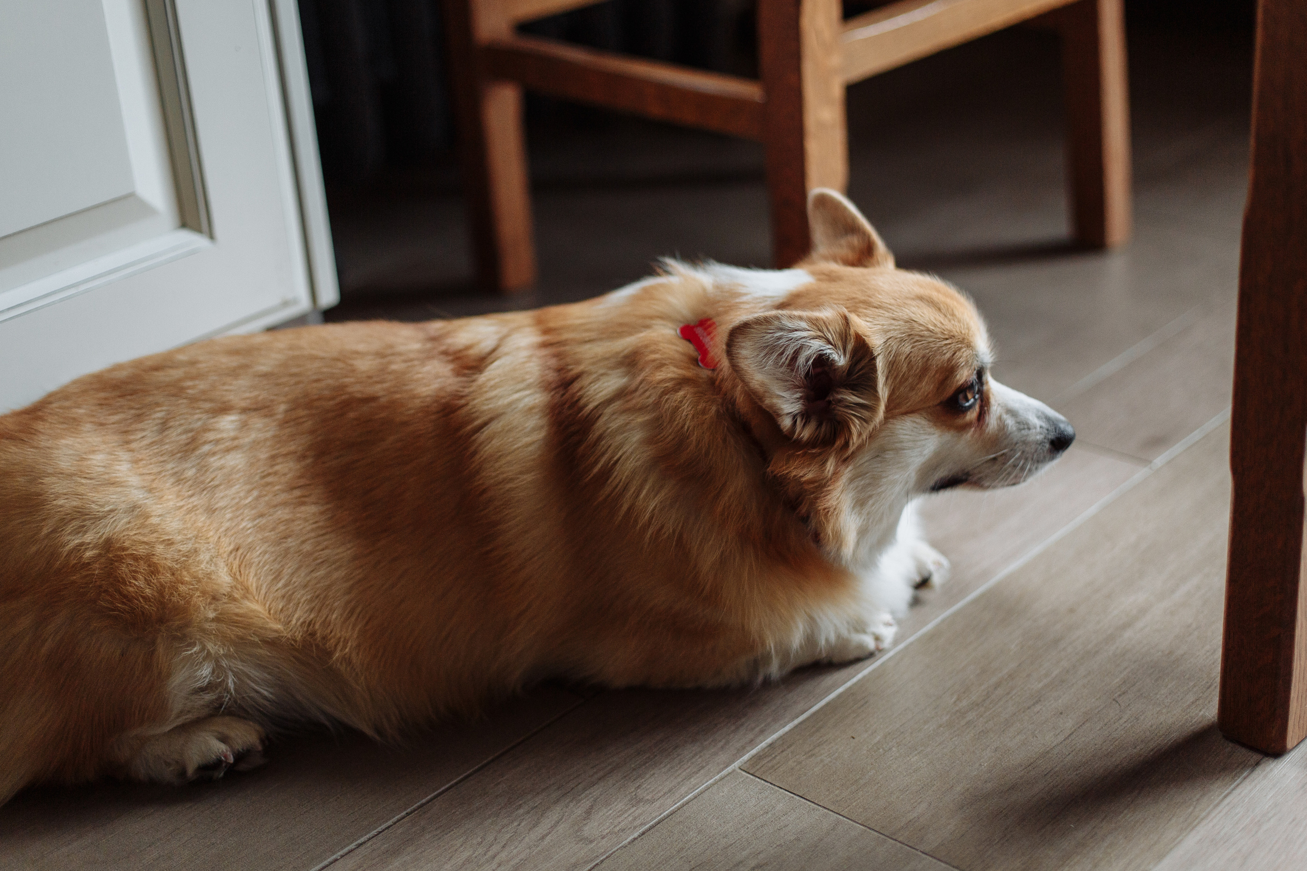 День рождения Арсения. Свадебный и портретный фотограф в Королёве Сергей Чихарев