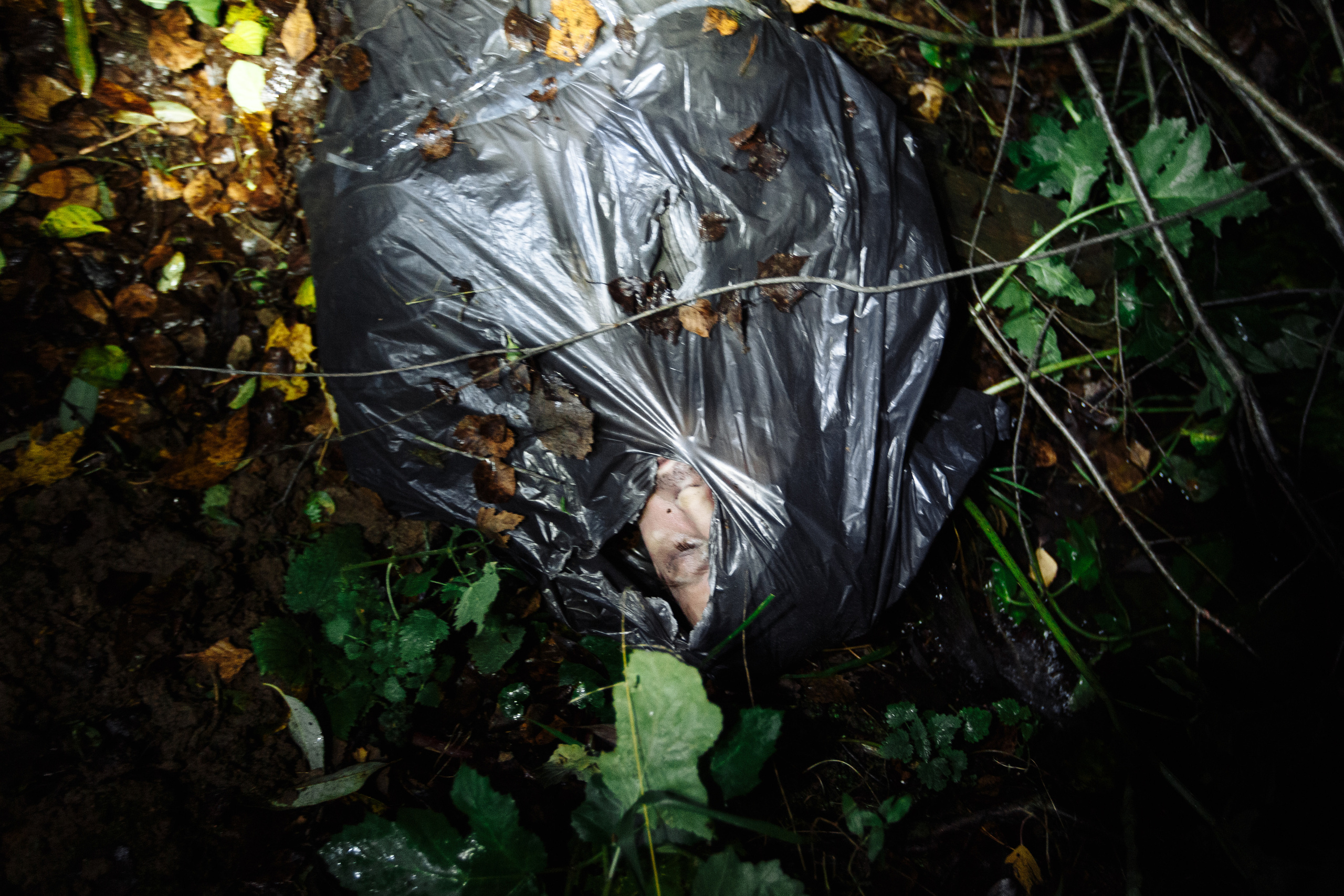 День рождения Арсения. Свадебный и портретный фотограф в Королёве Сергей Чихарев