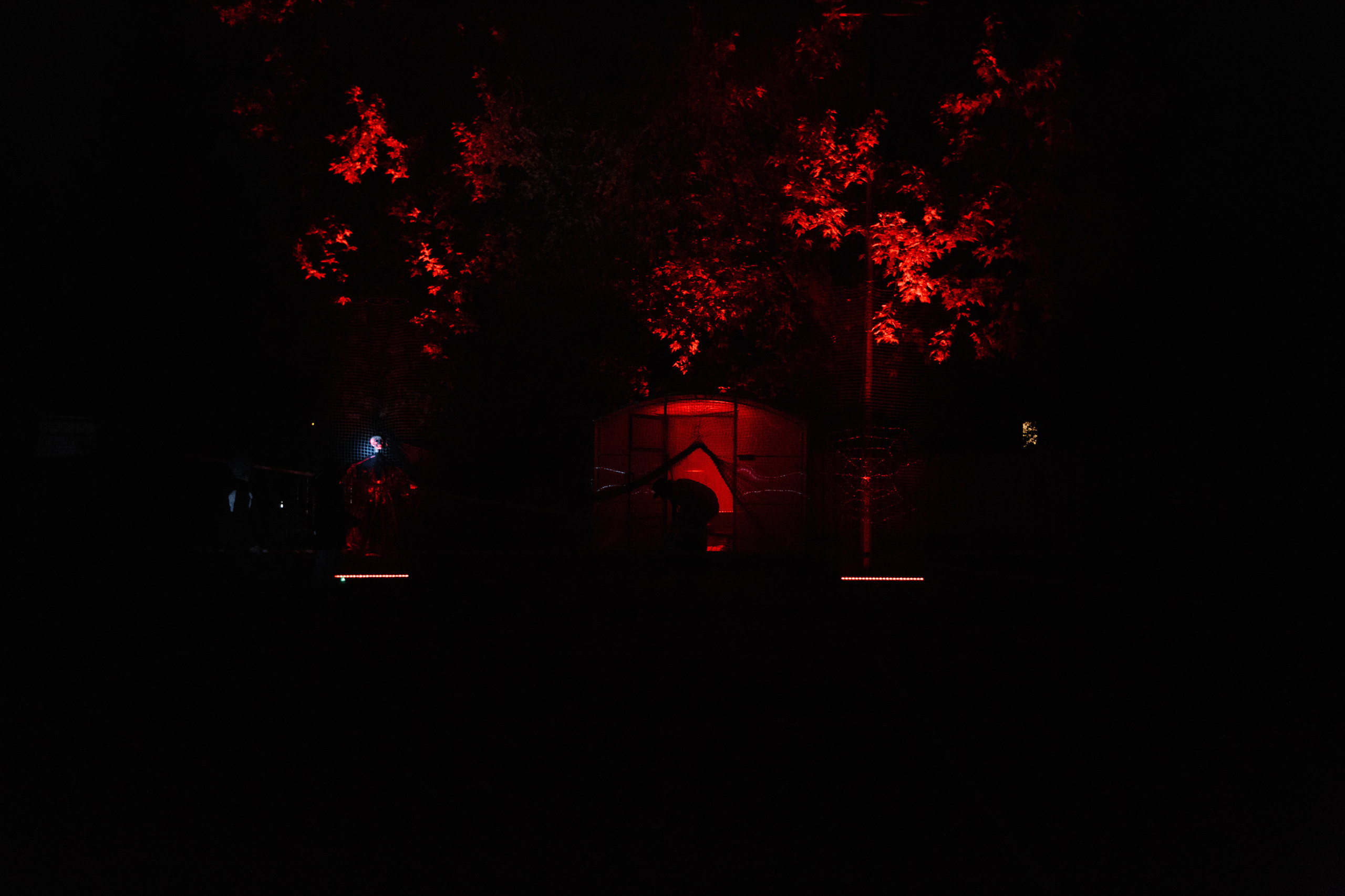 День рождения Арсения. Свадебный и портретный фотограф в Королёве Сергей Чихарев