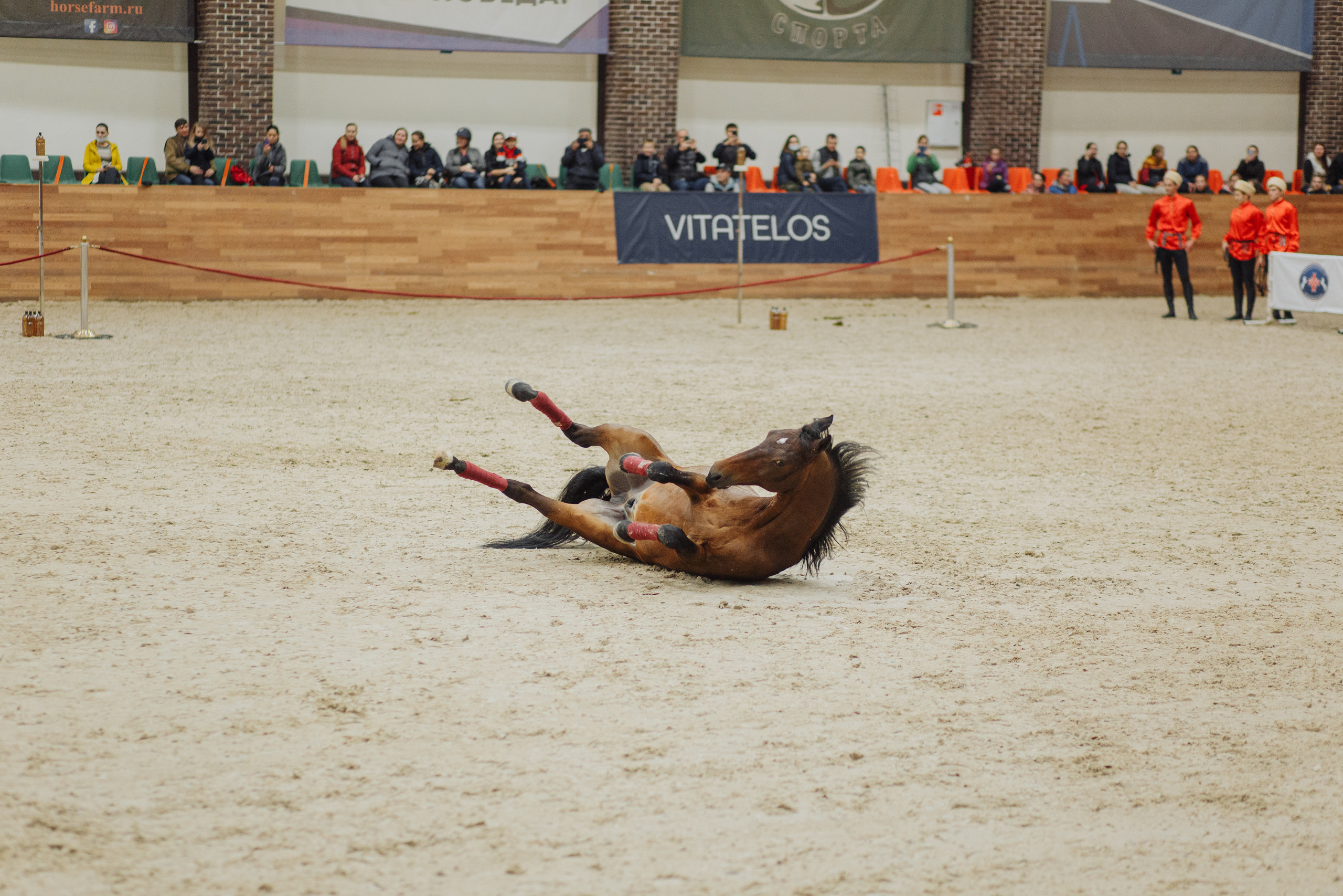 День рождения Анечки. Свадебный и портретный фотограф в Королёве Сергей Чихарев