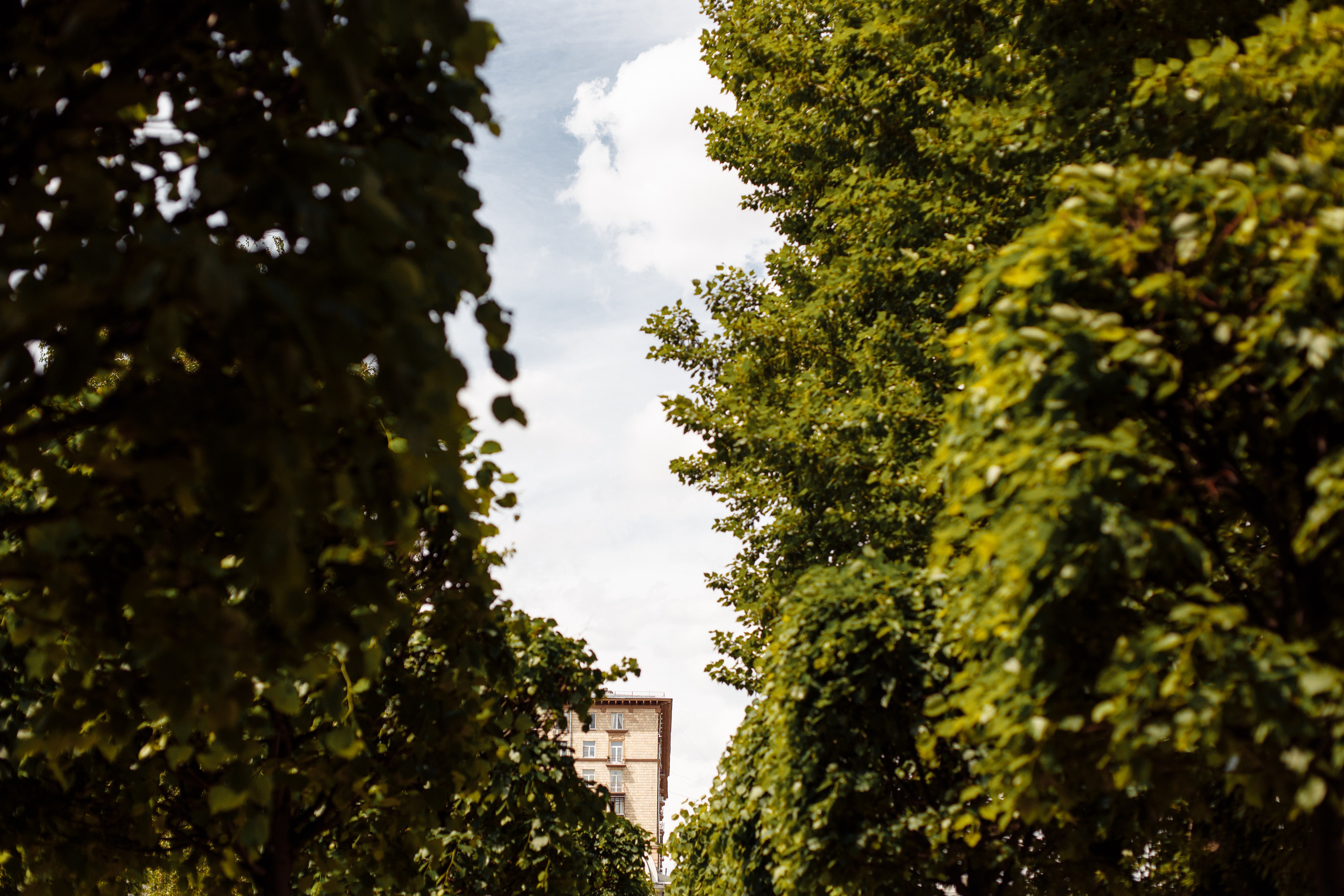 Десять лет любви. Свадебный и портретный фотограф в Королёве Сергей Чихарев