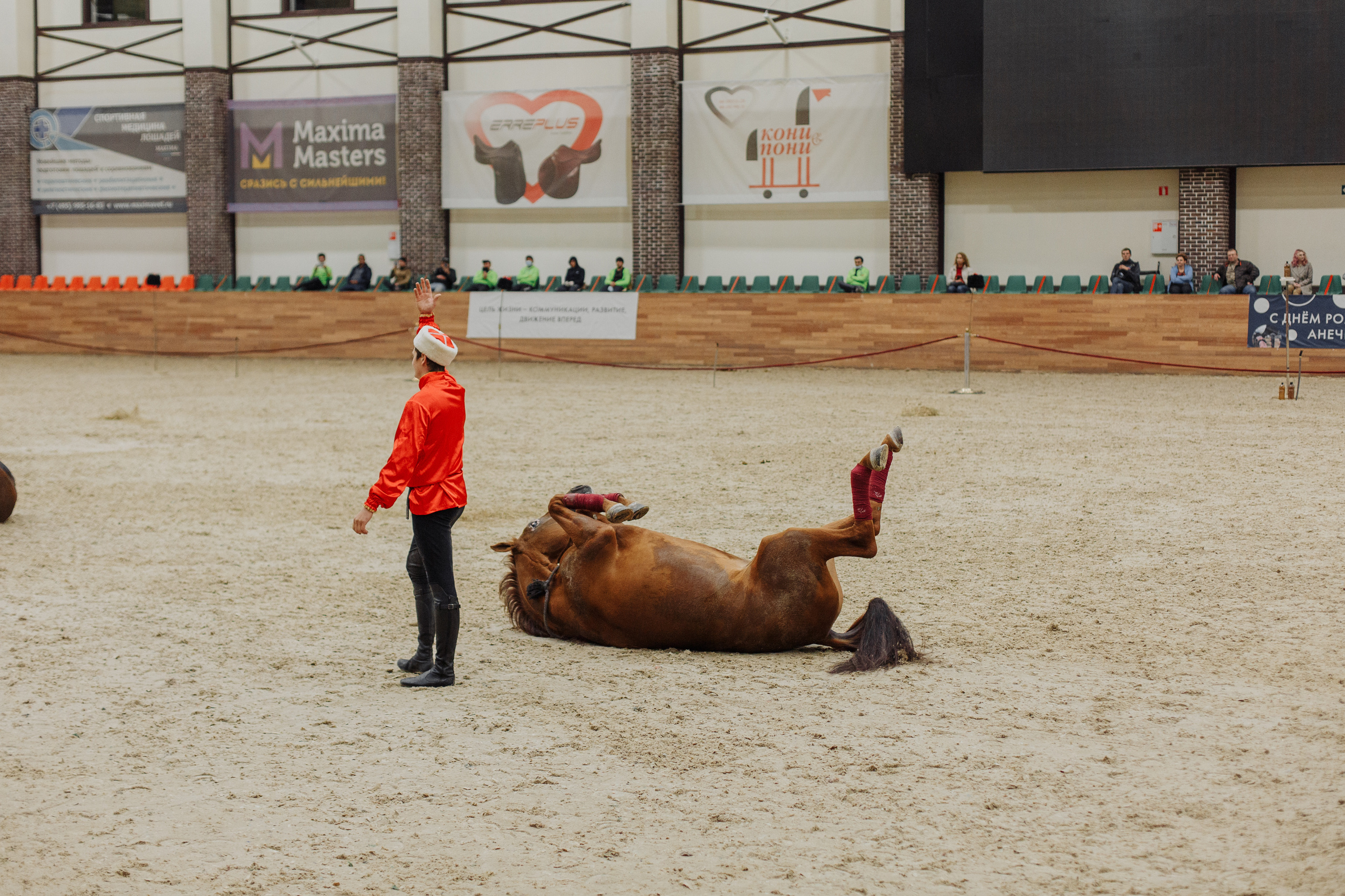 День рождения Анечки. Свадебный и портретный фотограф в Королёве Сергей Чихарев