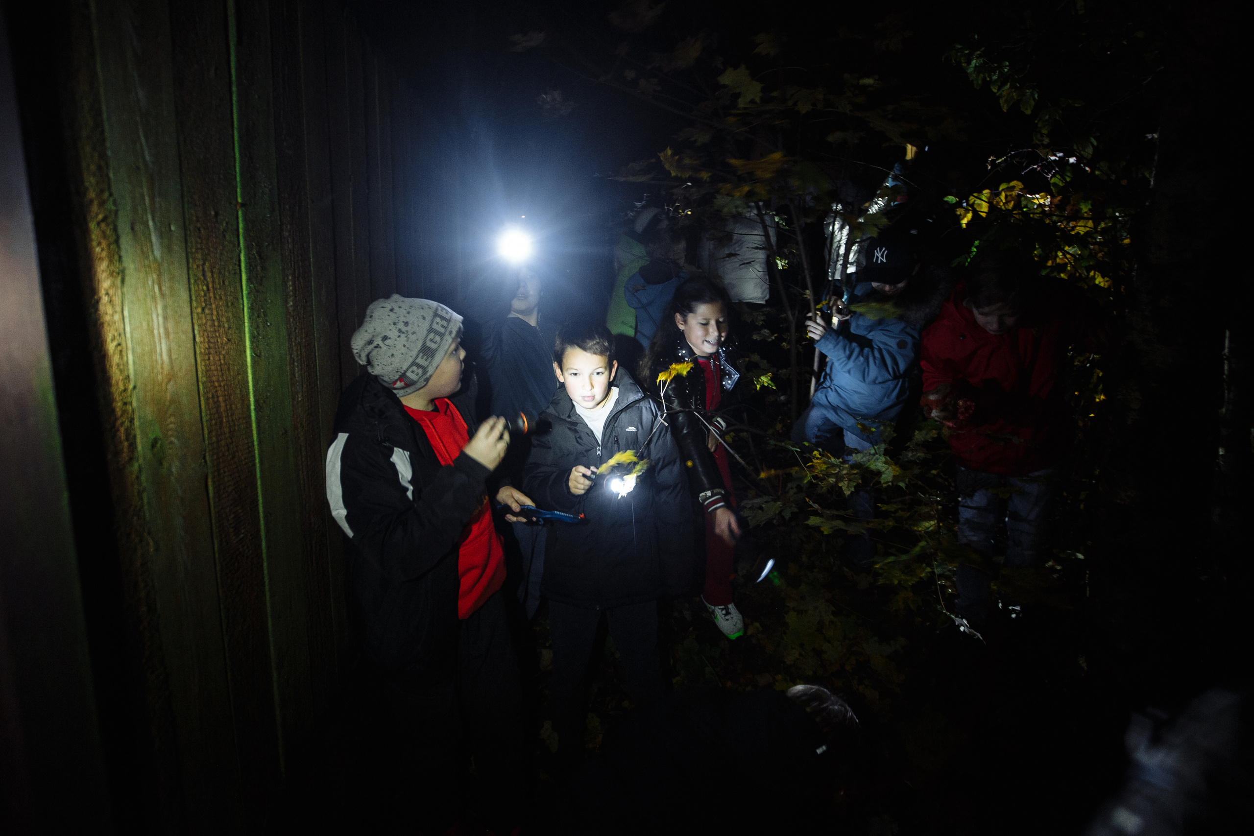 День рождения Арсения. Свадебный и портретный фотограф в Королёве Сергей Чихарев