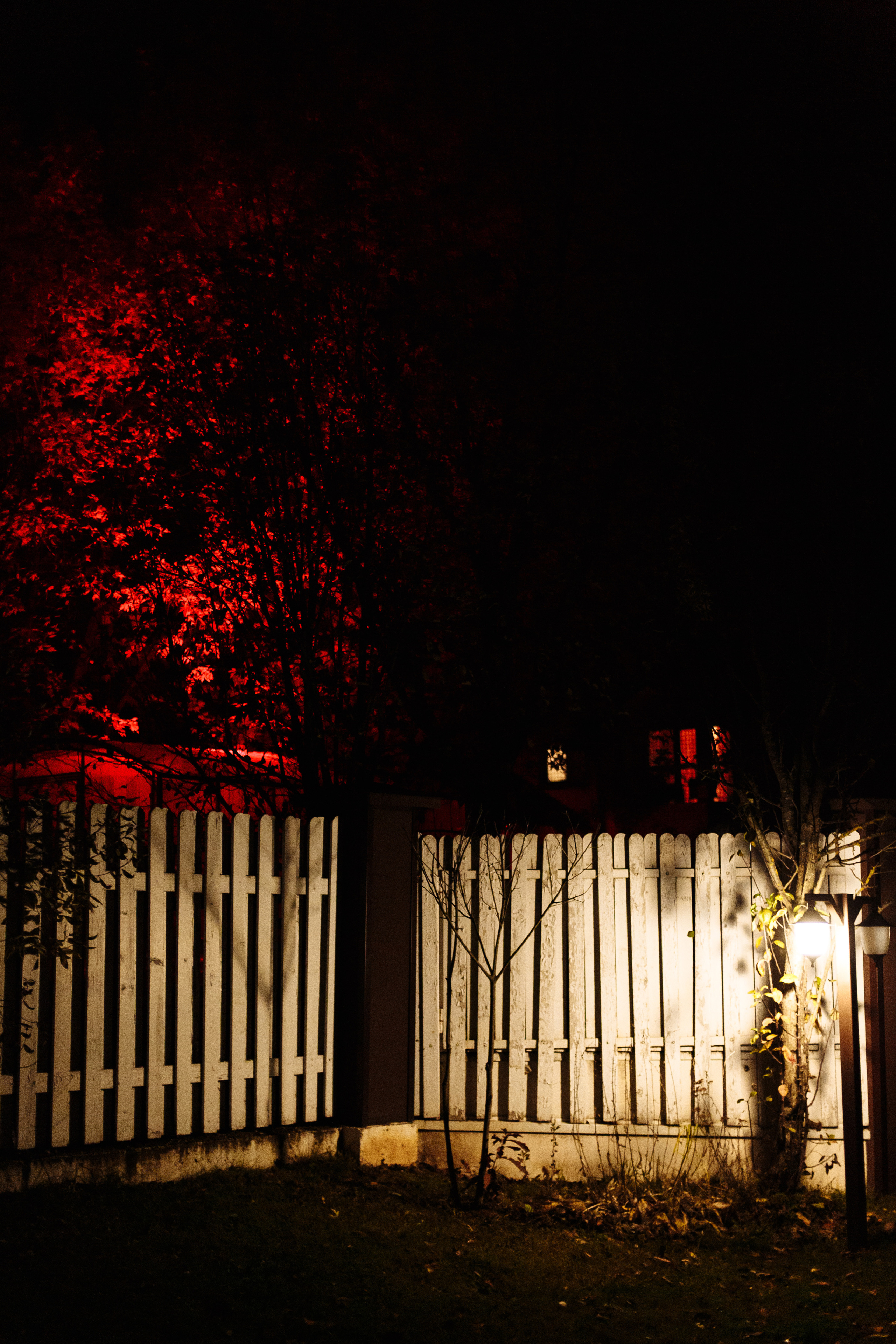 День рождения Арсения. Свадебный и портретный фотограф в Королёве Сергей Чихарев