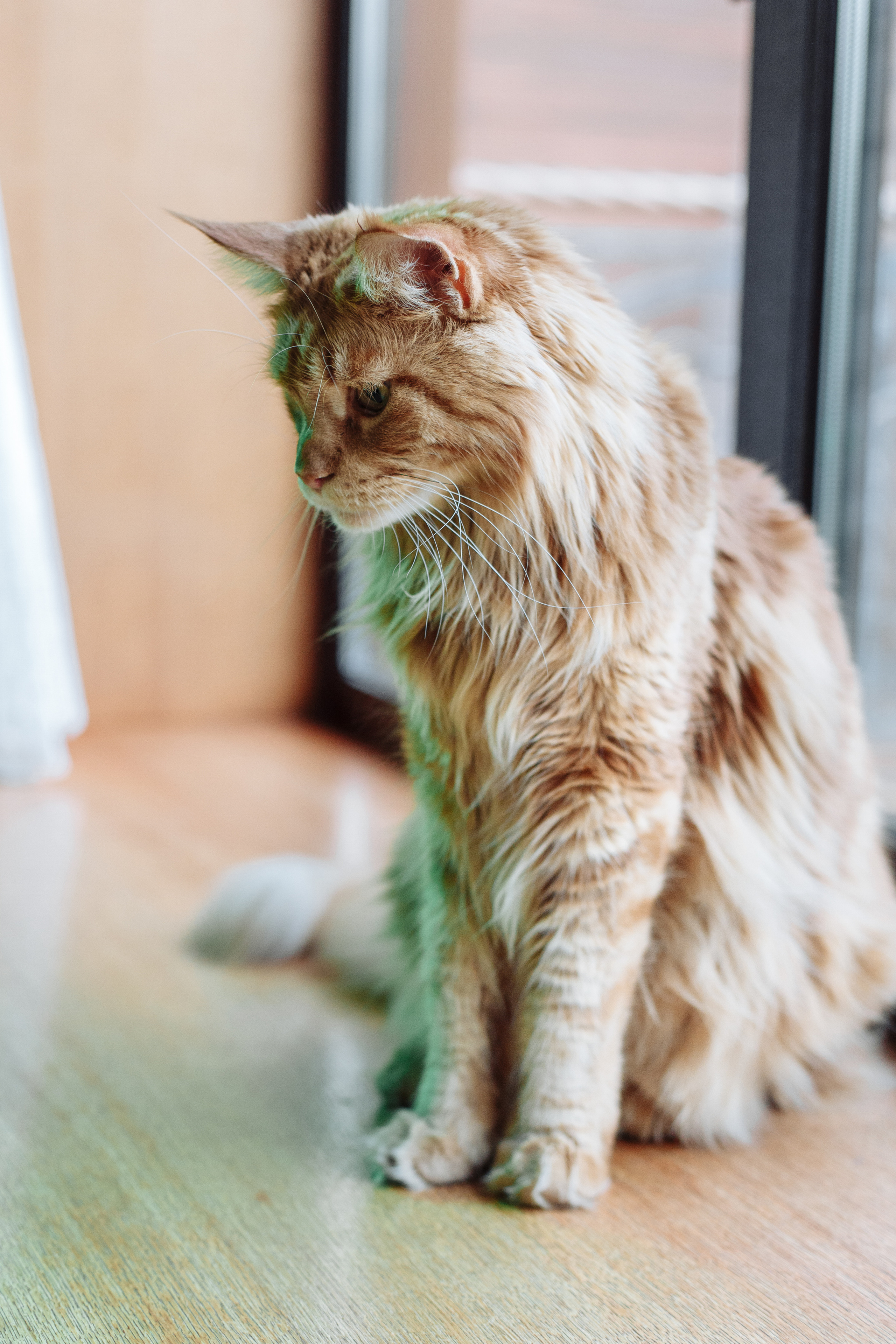 День рождения Арсения. Свадебный и портретный фотограф в Королёве Сергей Чихарев