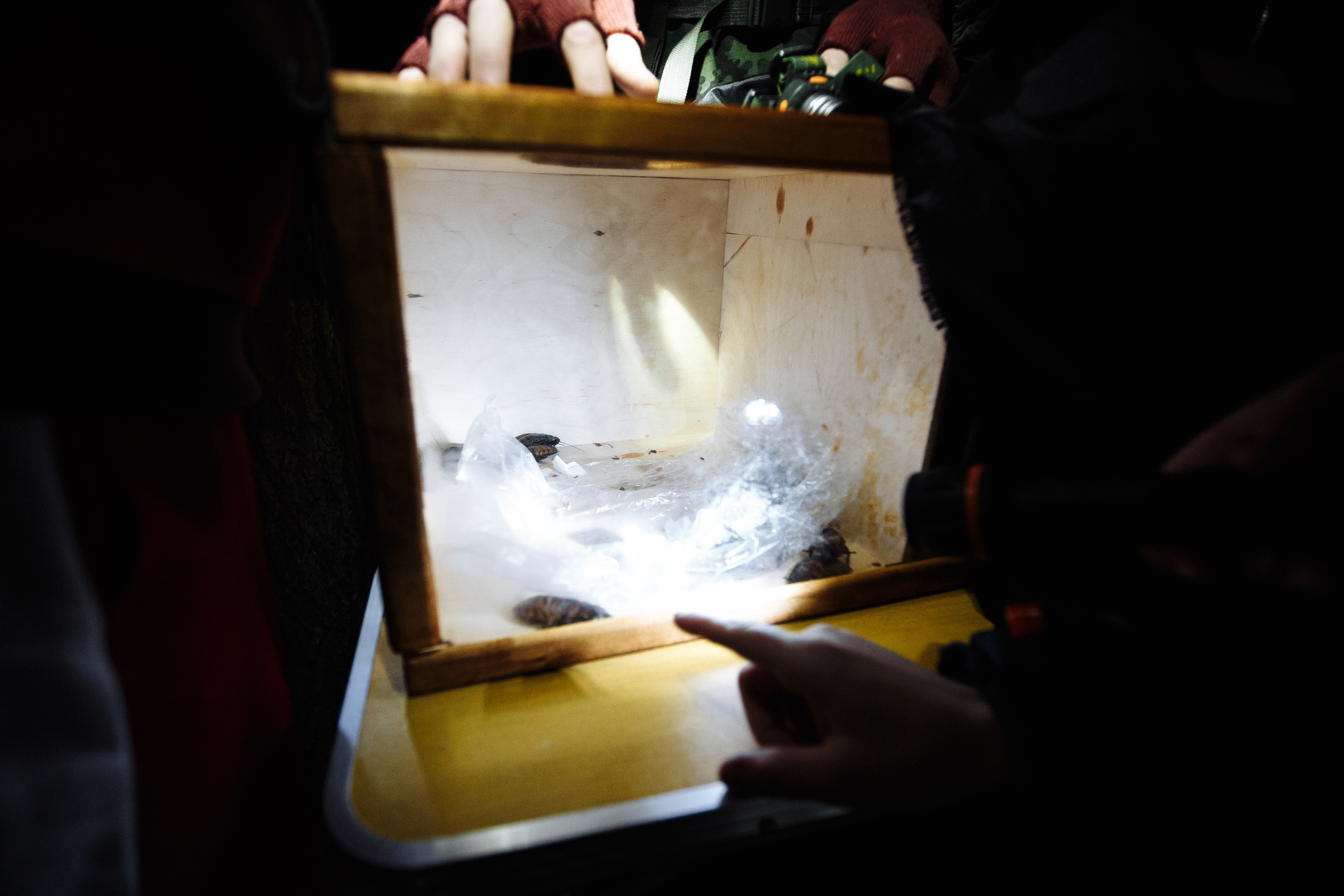 День рождения Арсения. Свадебный и портретный фотограф в Королёве Сергей Чихарев