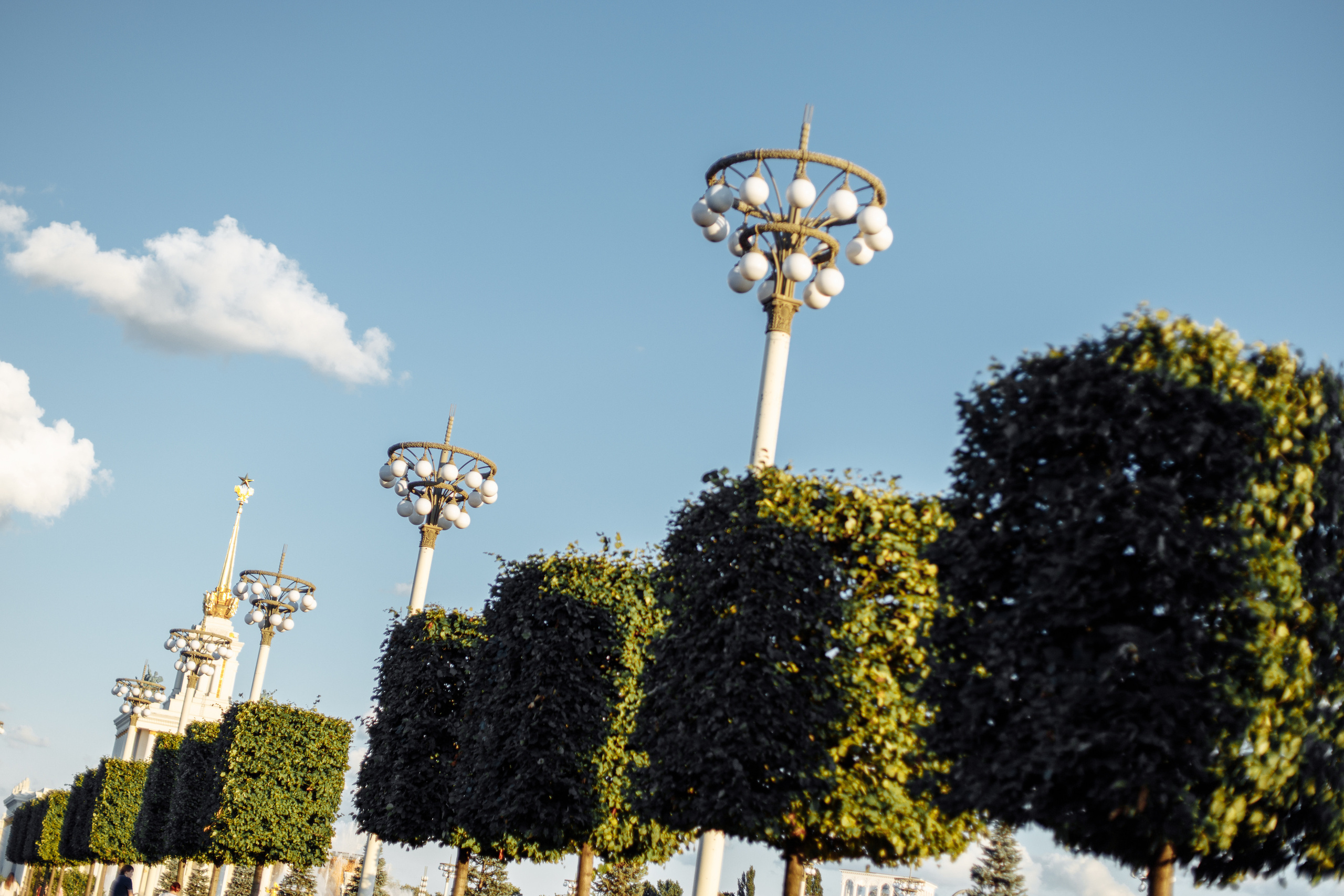 Лиза и Даня. Свадебный и портретный фотограф в Королёве Сергей Чихарев