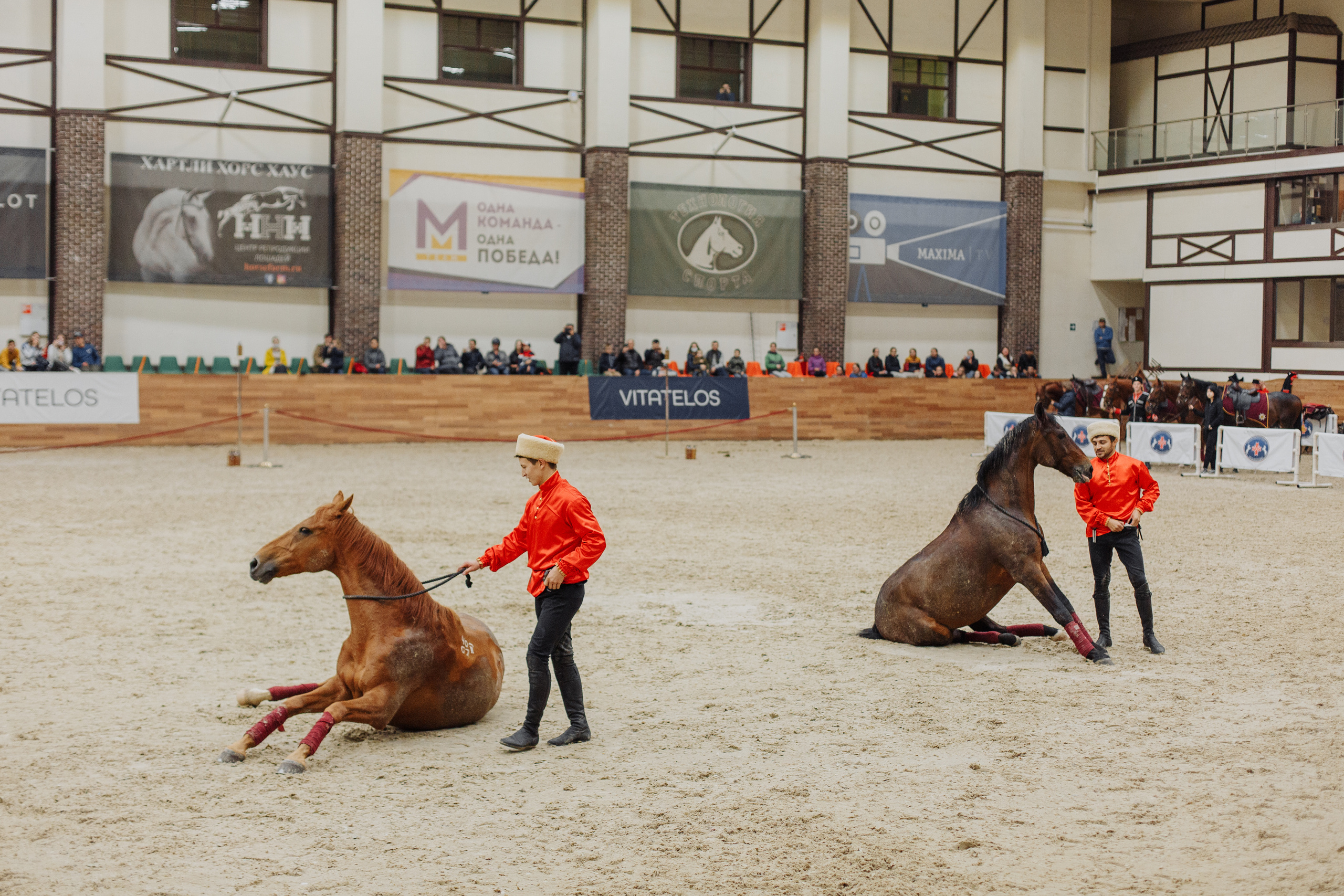 День рождения Анечки. Свадебный и портретный фотограф в Королёве Сергей Чихарев