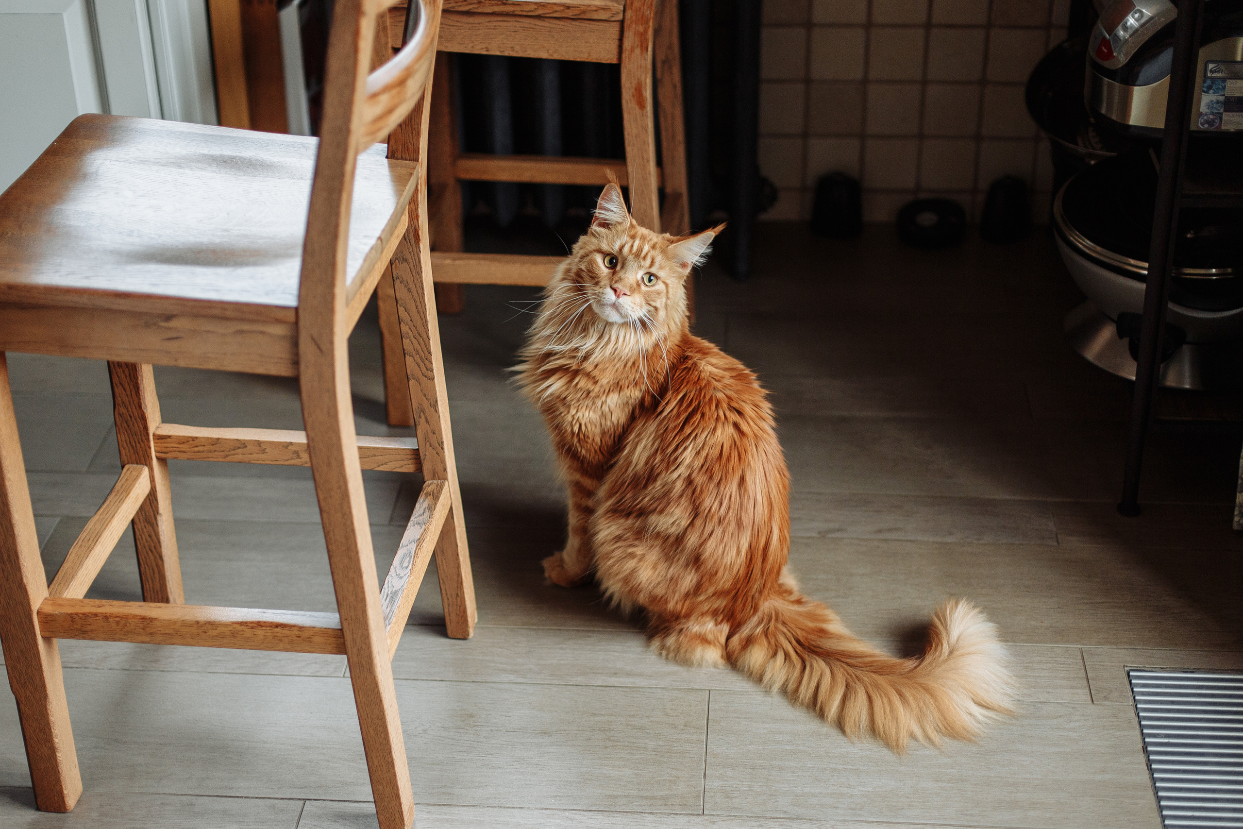 День рождения Арсения. Свадебный и портретный фотограф в Королёве Сергей Чихарев