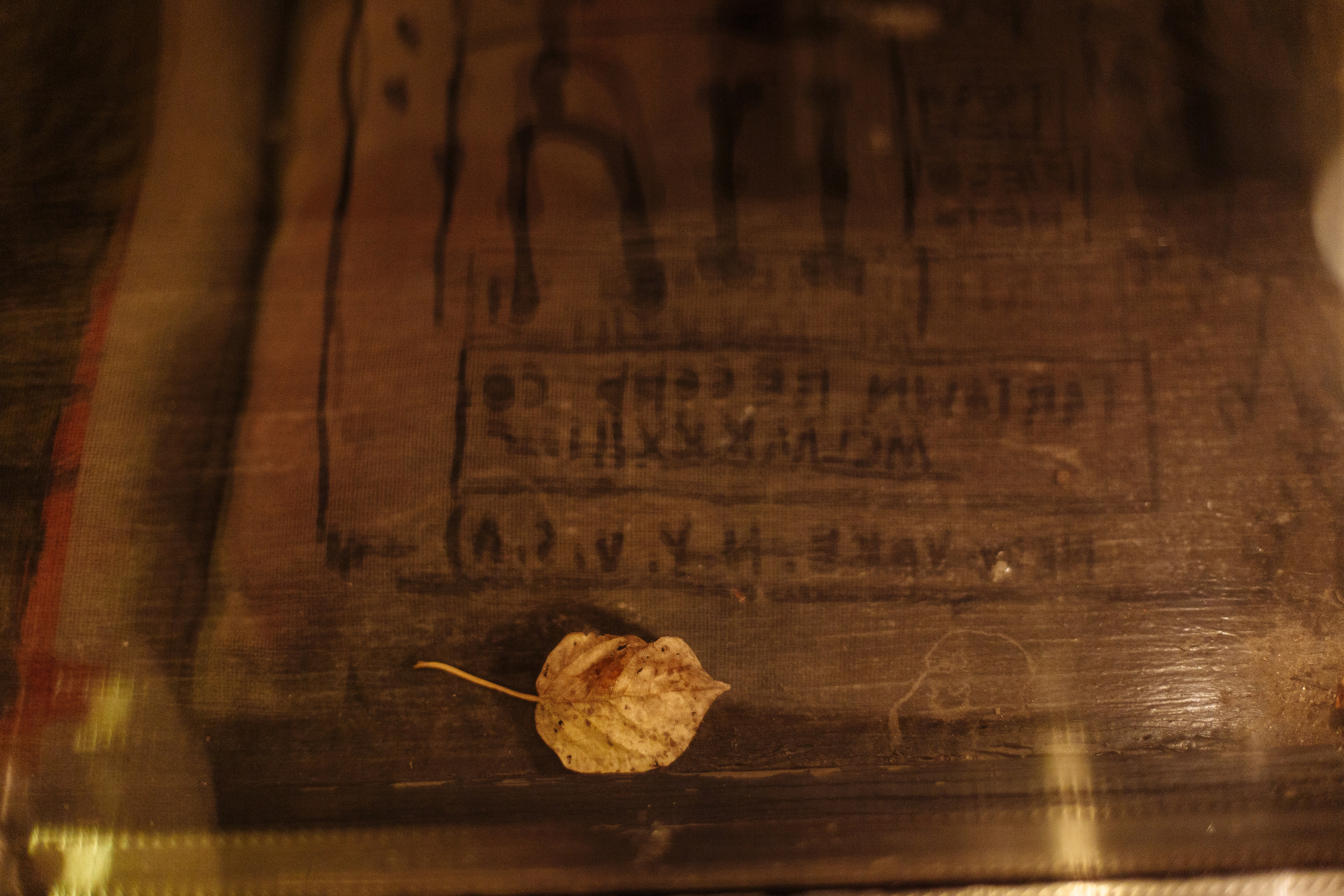 Полина и Витя. Свадебный и портретный фотограф в Королёве Сергей Чихарев