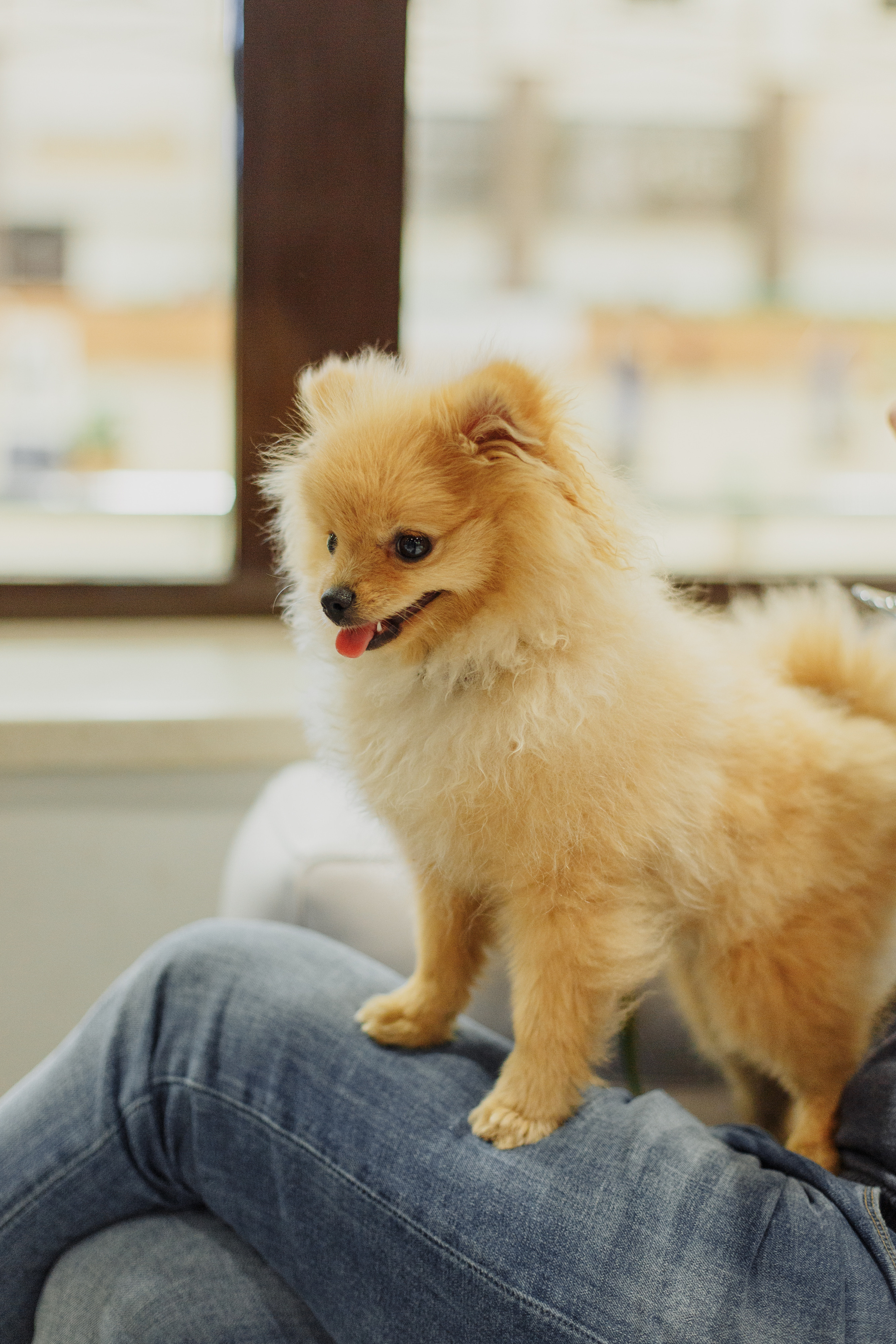 День рождения Анечки. Свадебный и портретный фотограф в Королёве Сергей Чихарев