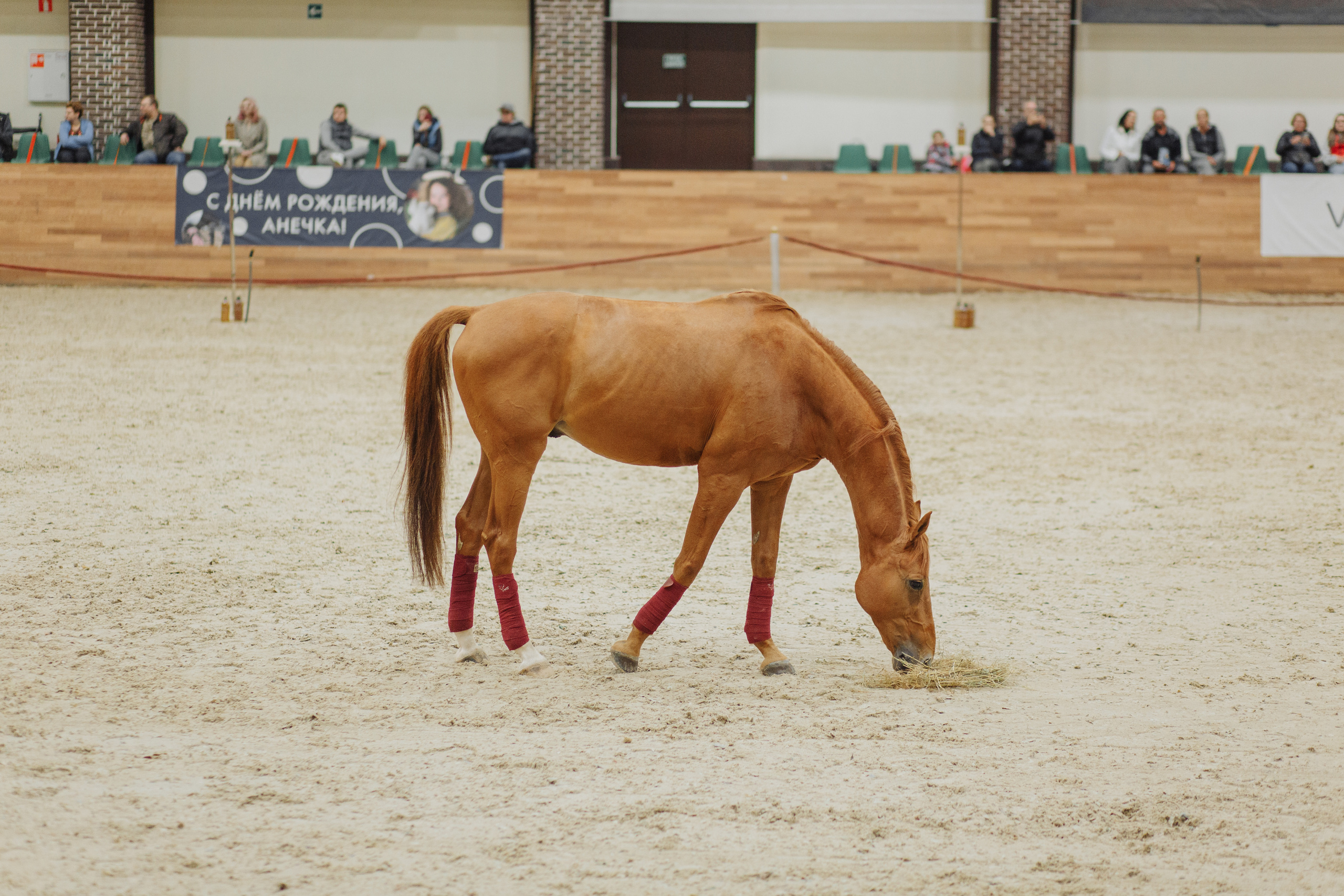 День рождения Анечки. Свадебный и портретный фотограф в Королёве Сергей Чихарев