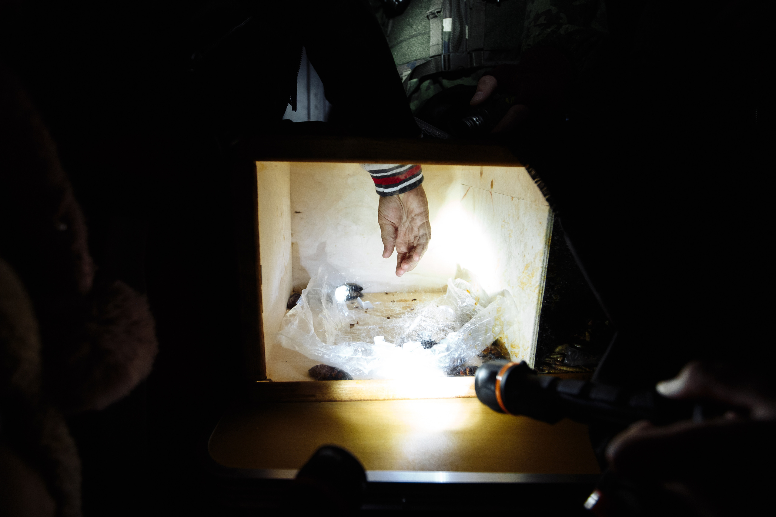 День рождения Арсения. Свадебный и портретный фотограф в Королёве Сергей Чихарев