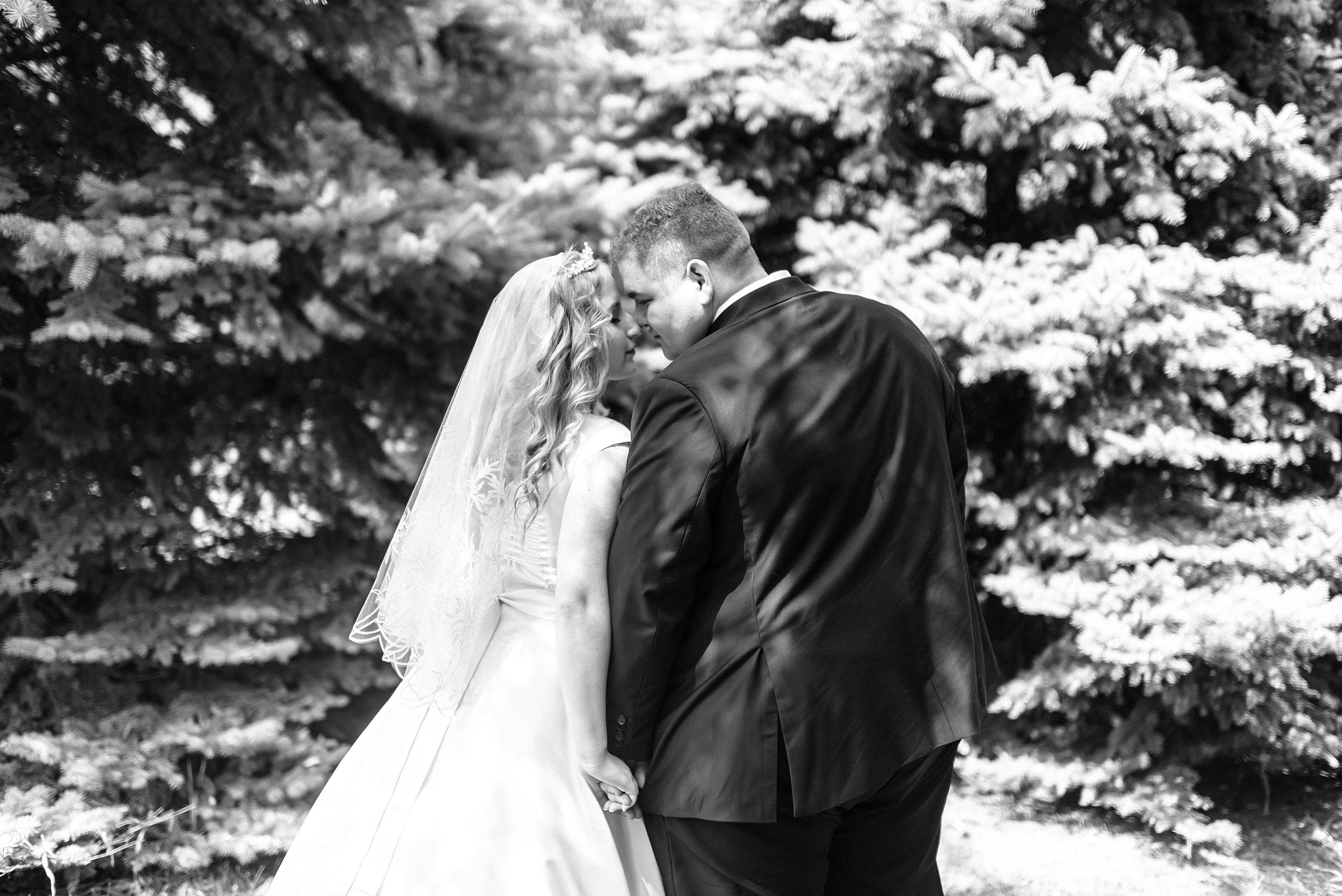 Свадьба Эльдара и Тани 14.08.21. Фотограф Волжский Екатерина Егорова