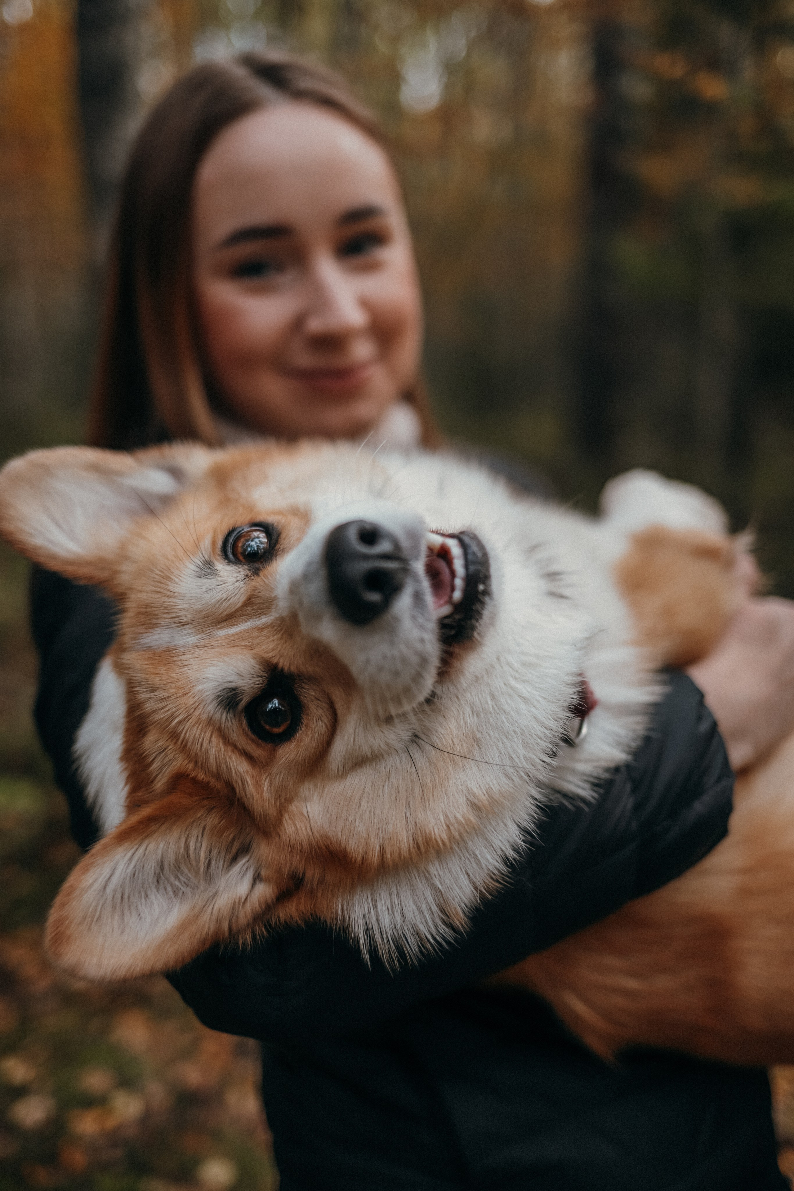 Мария & корги Мия