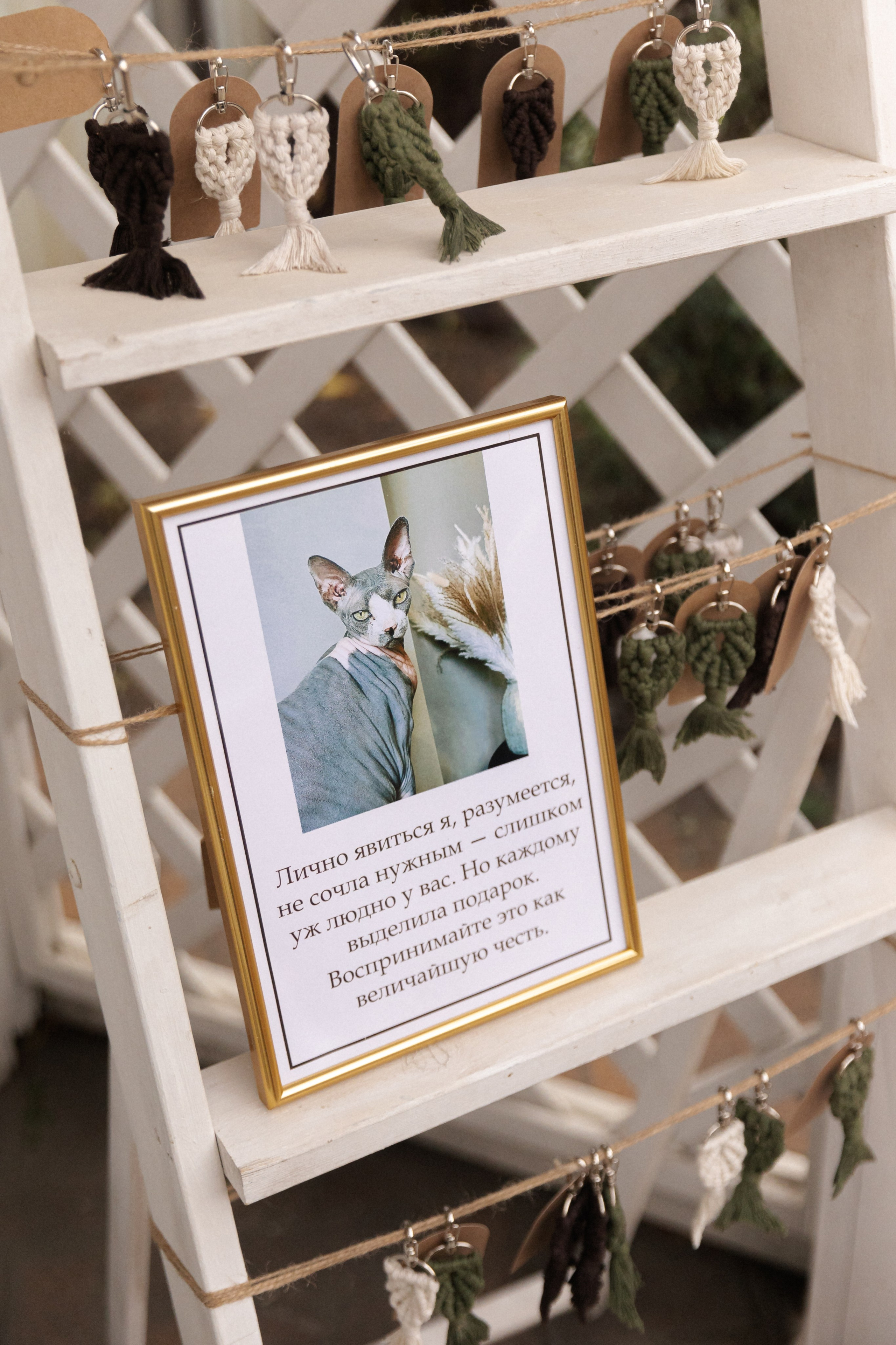 Рыбка моя. Свадебный фотограф и видеограф в Краснодаре | Алина и Евгений Кумановские