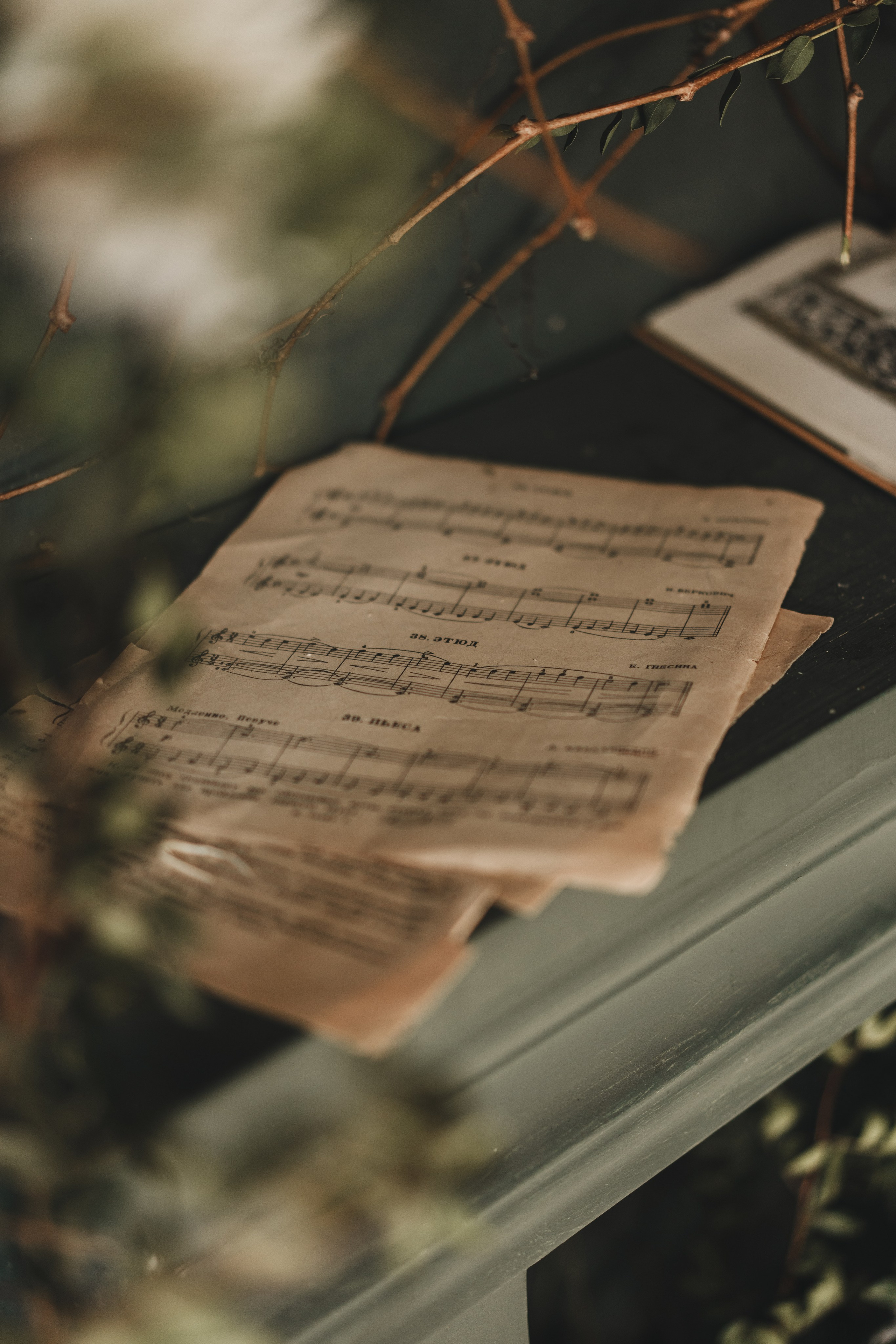 История любви. Семейный и детский фотограф и видеограф в Москве, Серпухове и Тарусе Валерия Сорокина