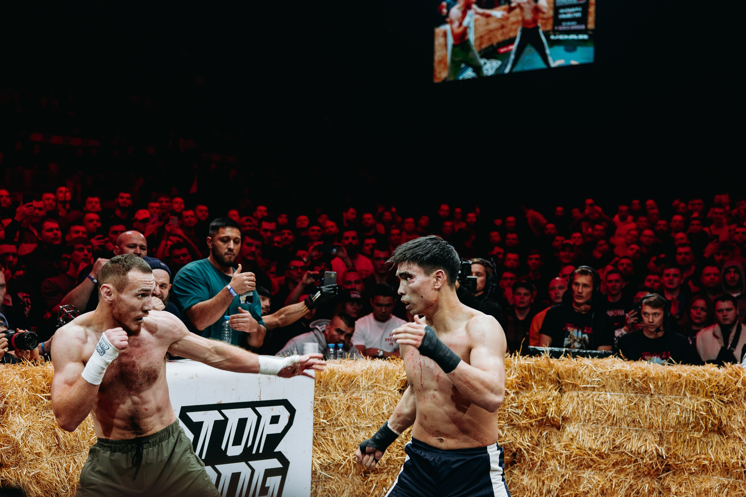 TOPDOG — 32. Фотограф в Саратове Александр Кухаренко. И не только в Саратове :)