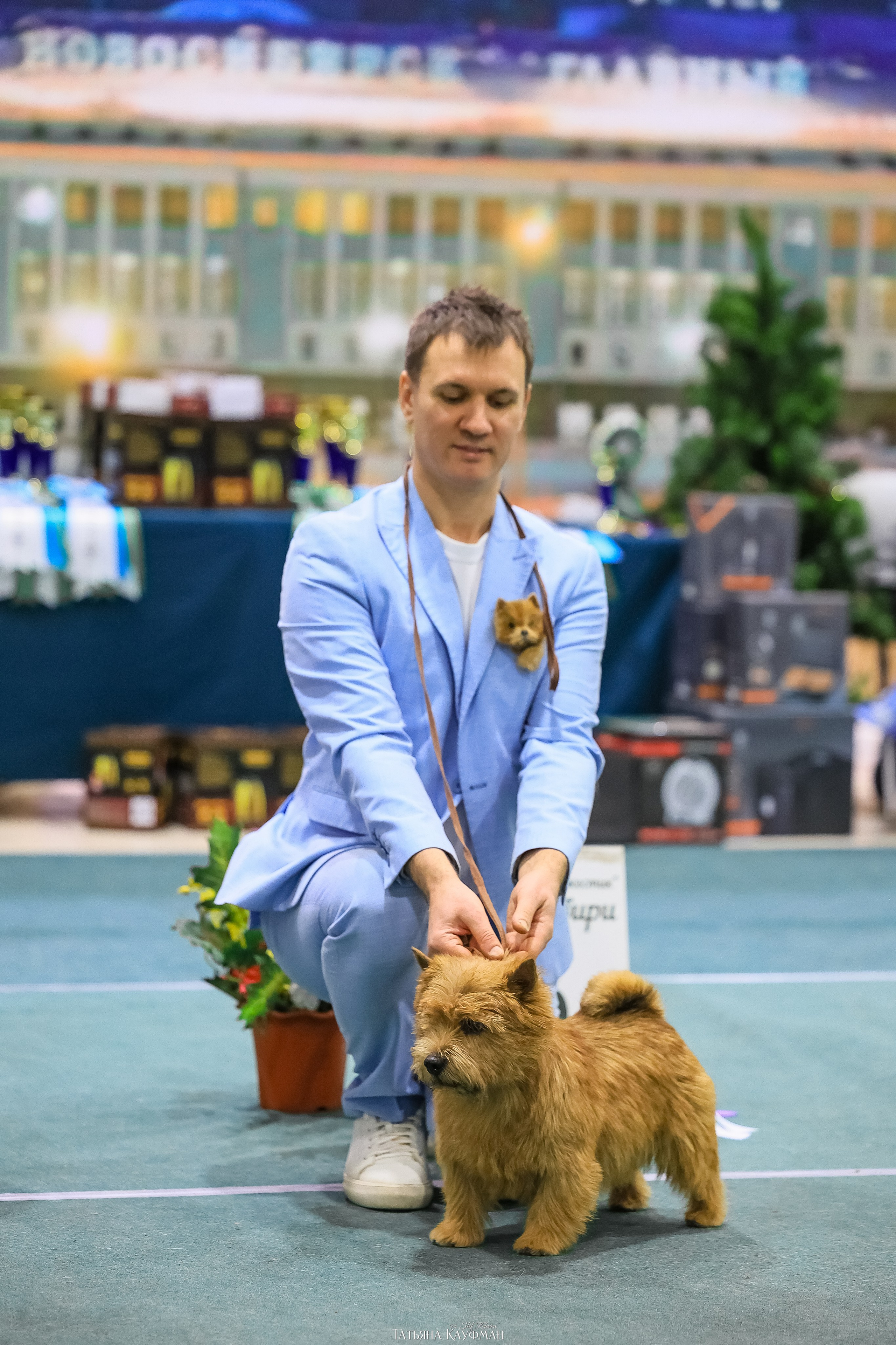 6-7.12.25 — 1-4 Национальные выставки собак в Новосибирске (2х рейтинговые). Фотограф Анималист из Новосибирска Татьяна Кауфман