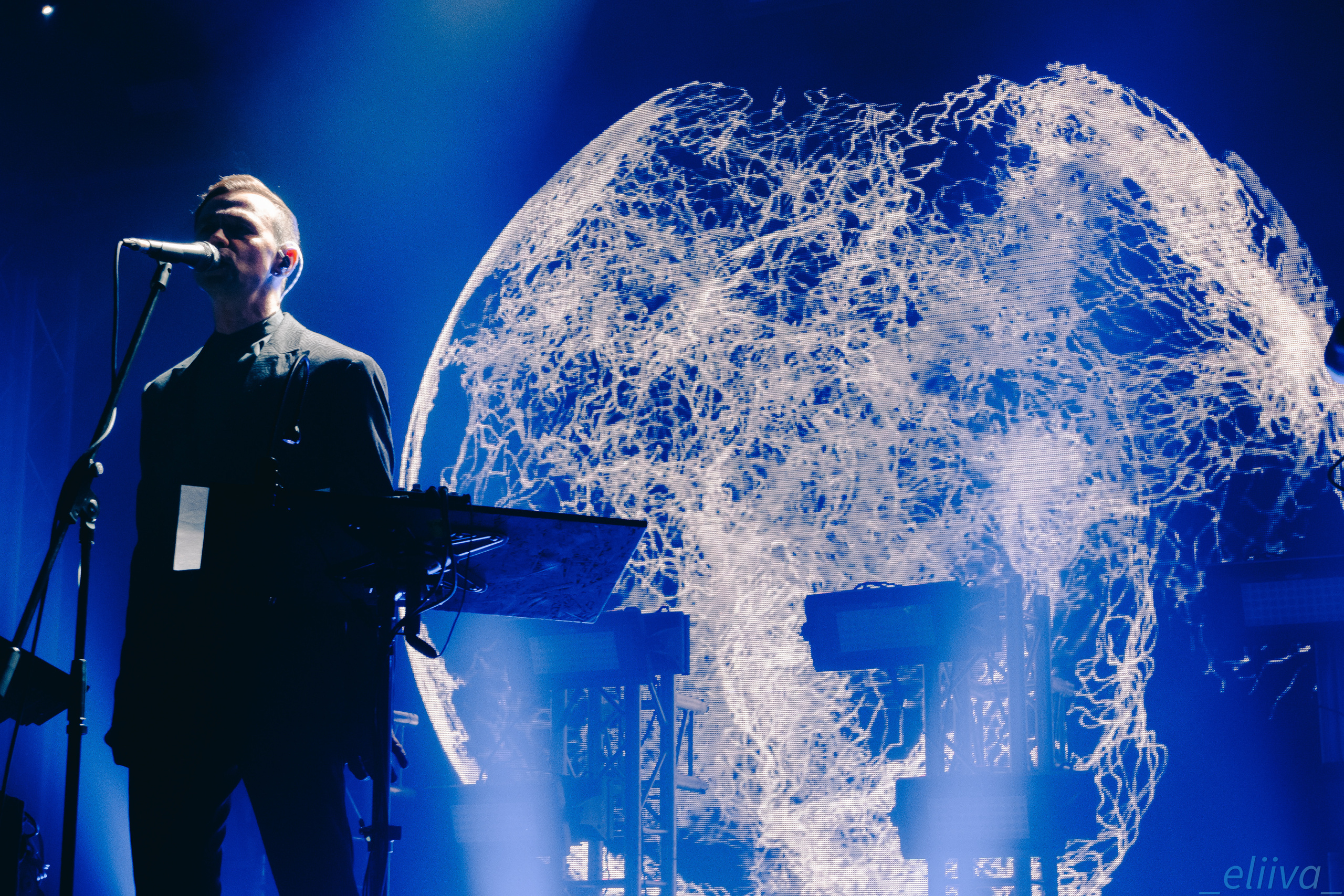 Дельфин. Концертный фотограф в Санкт-Петербурге