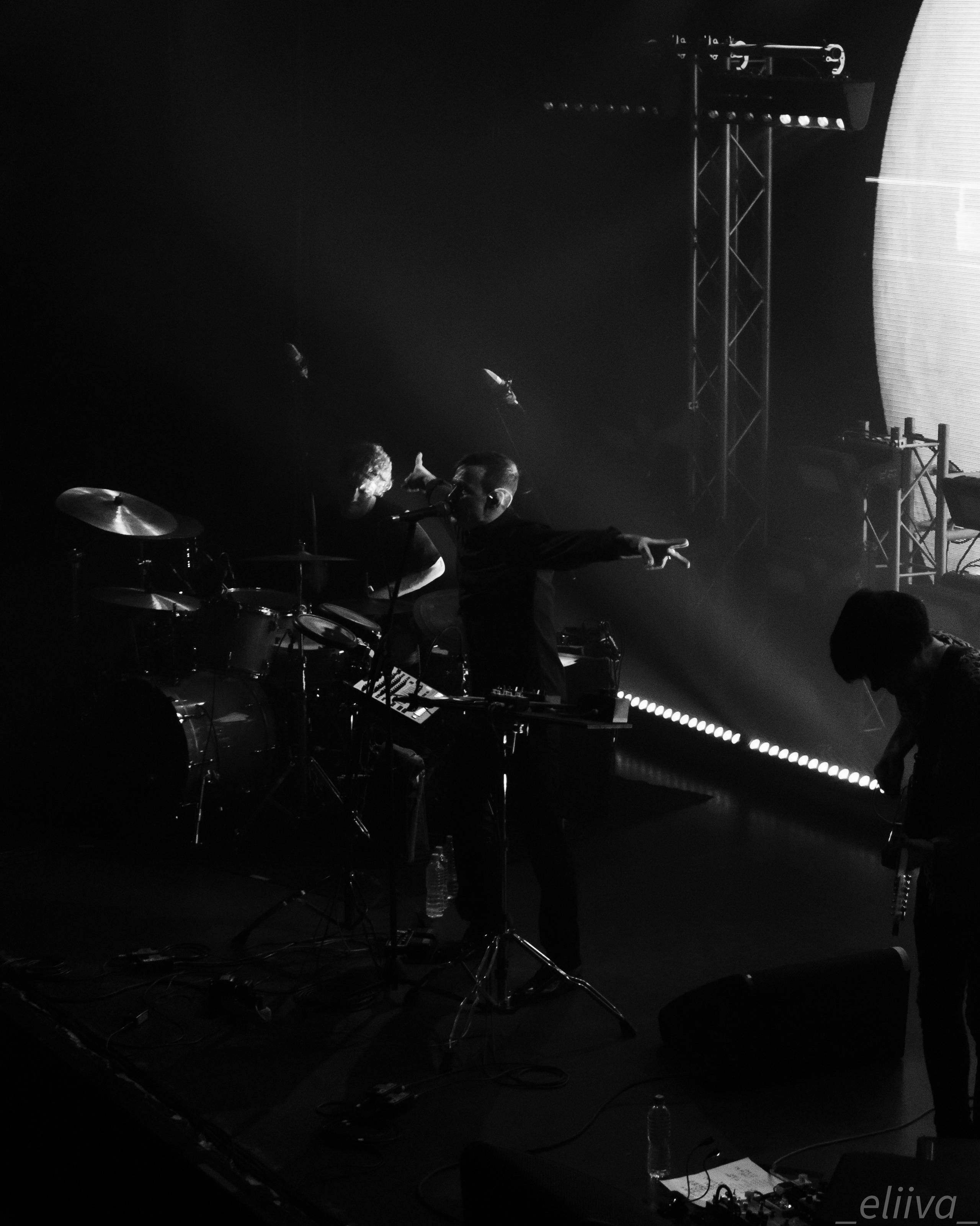 Дельфин. Концертный фотограф в Санкт-Петербурге