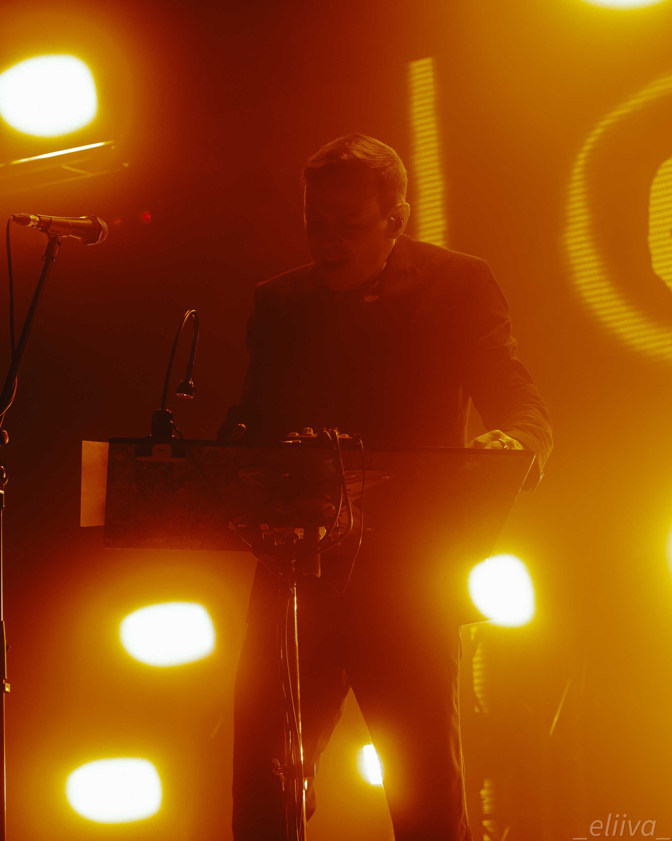 Дельфин. Концертный фотограф в Санкт-Петербурге