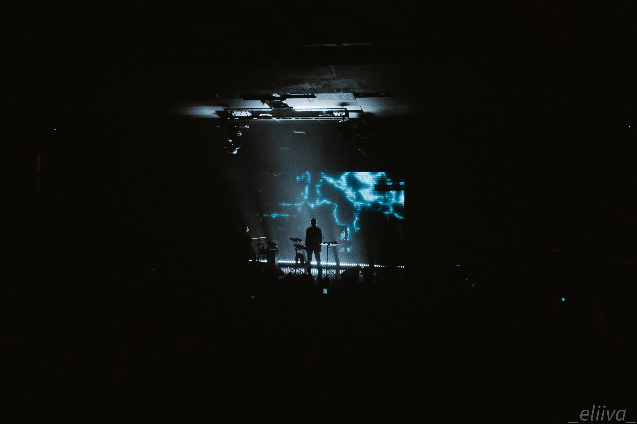 Дельфин. Концертный фотограф в Санкт-Петербурге