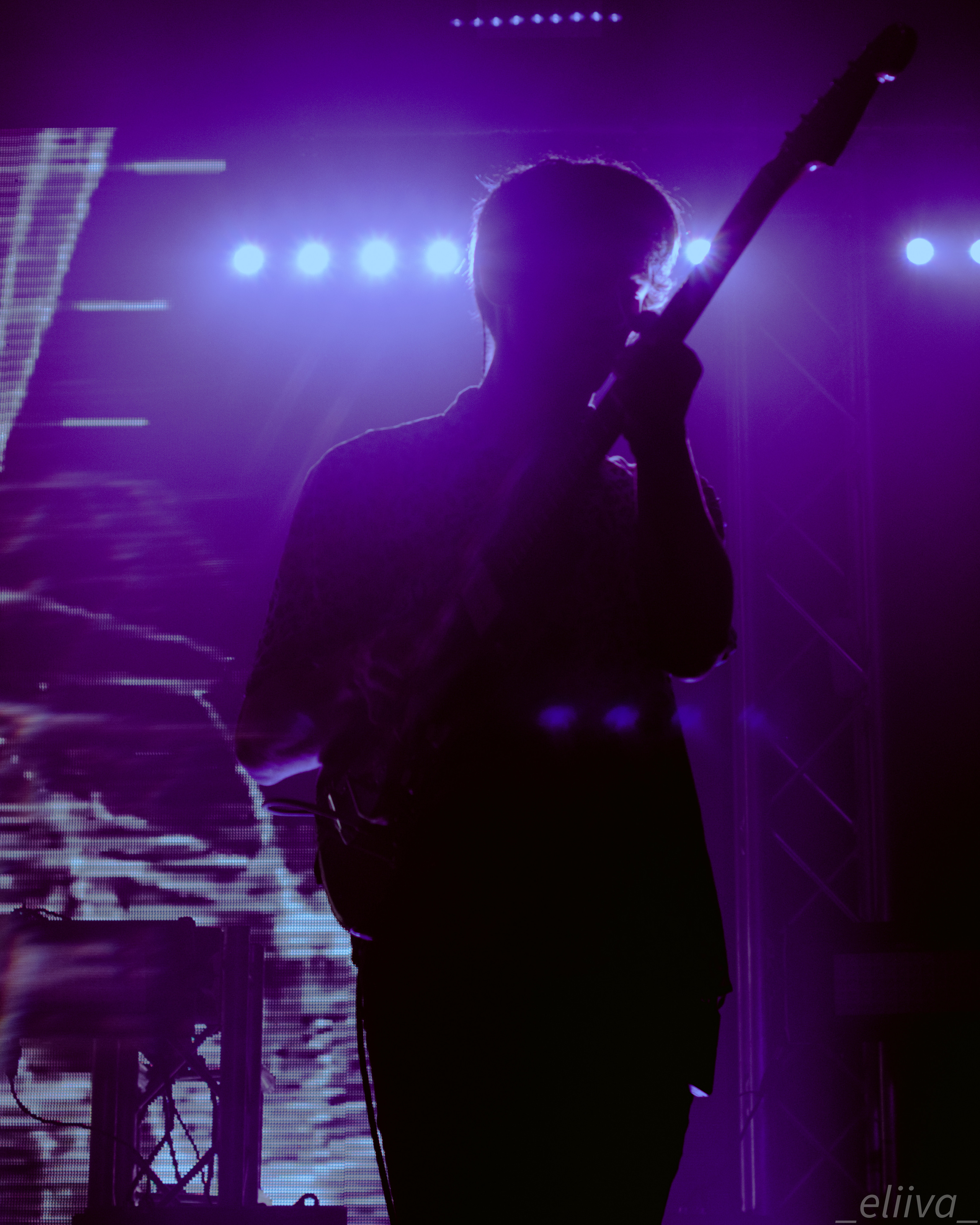 Дельфин. Концертный фотограф в Санкт-Петербурге