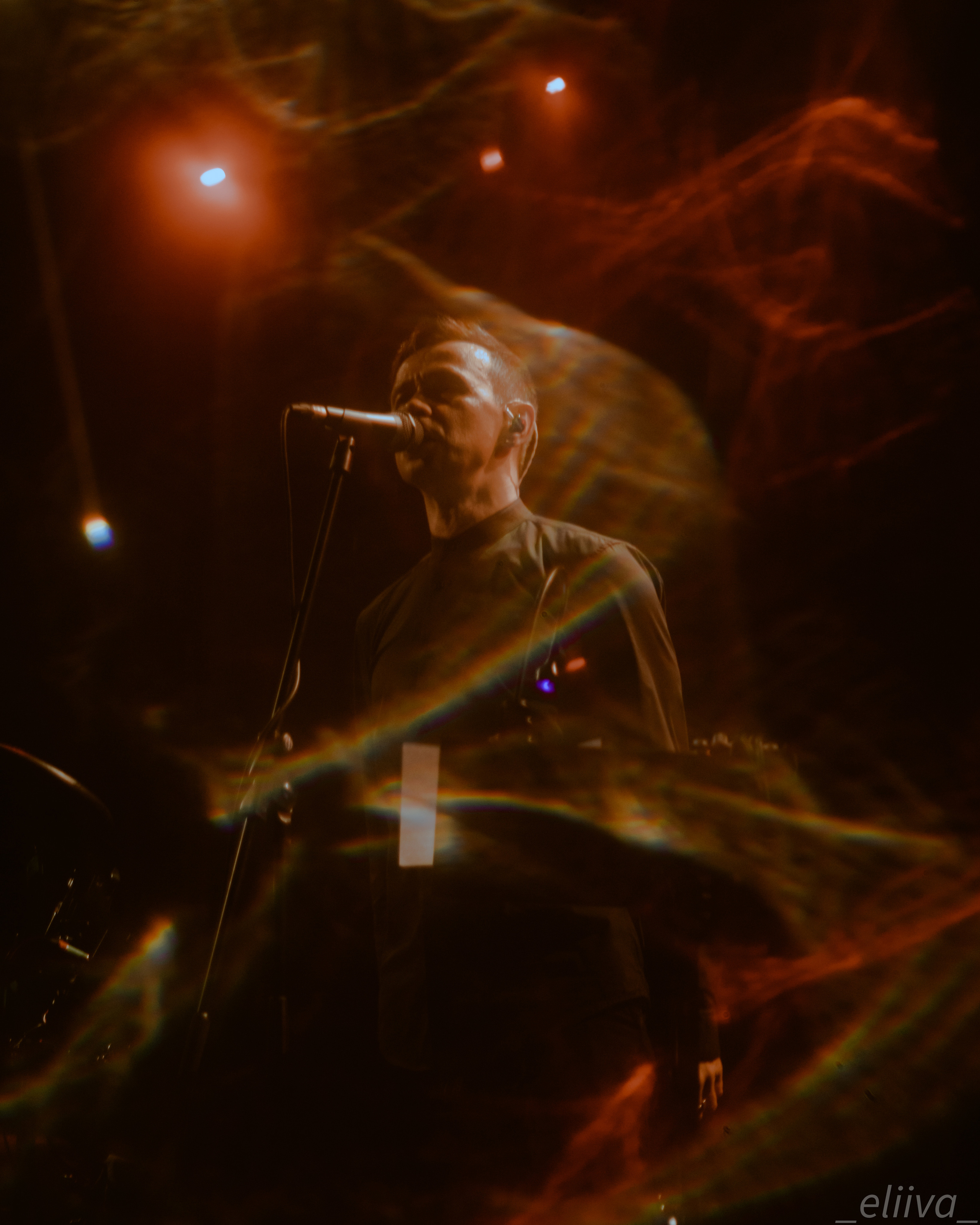 Дельфин. Концертный фотограф в Санкт-Петербурге