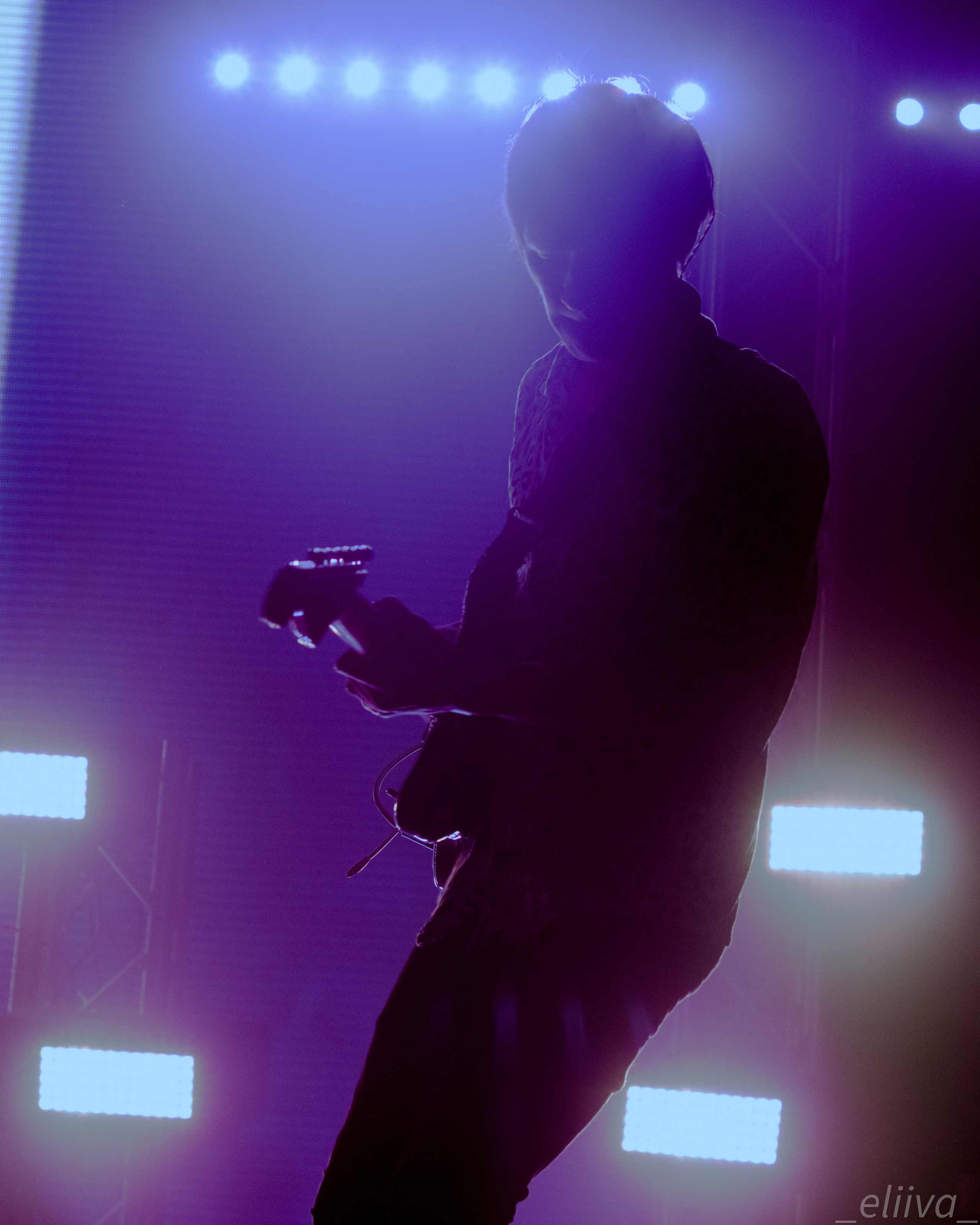 Дельфин. Концертный фотограф в Санкт-Петербурге