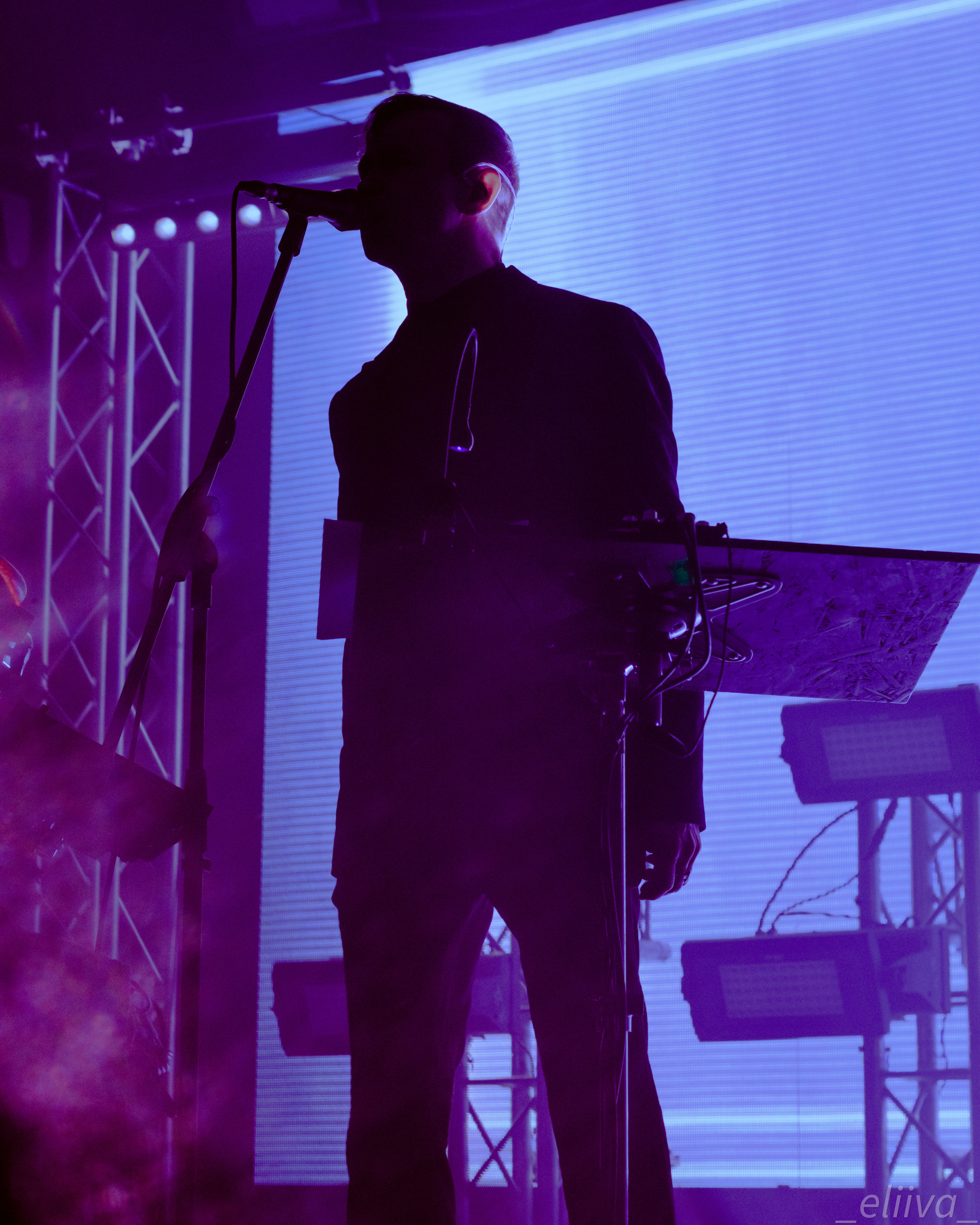 Дельфин. Концертный фотограф в Санкт-Петербурге