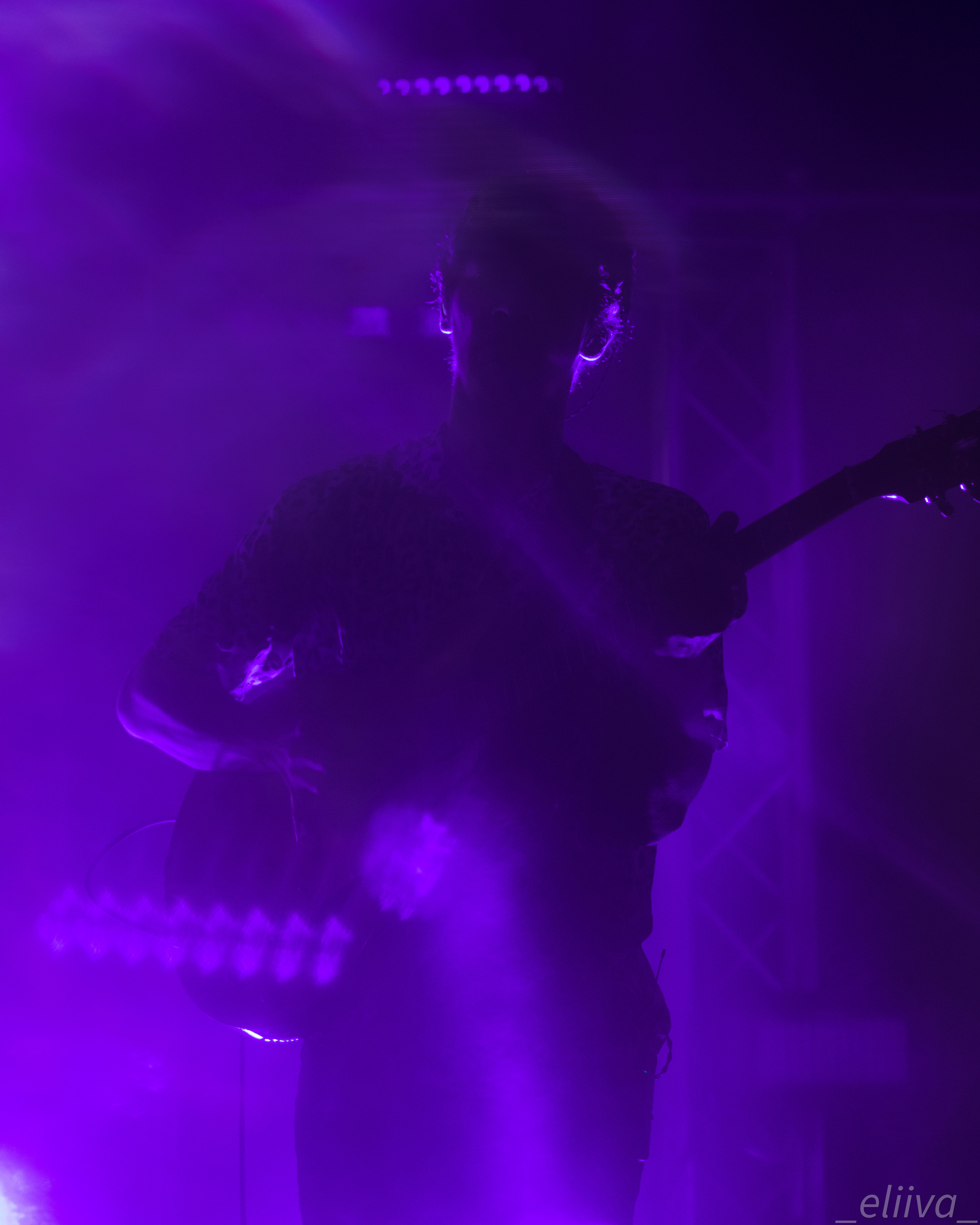 Дельфин. Концертный фотограф в Санкт-Петербурге