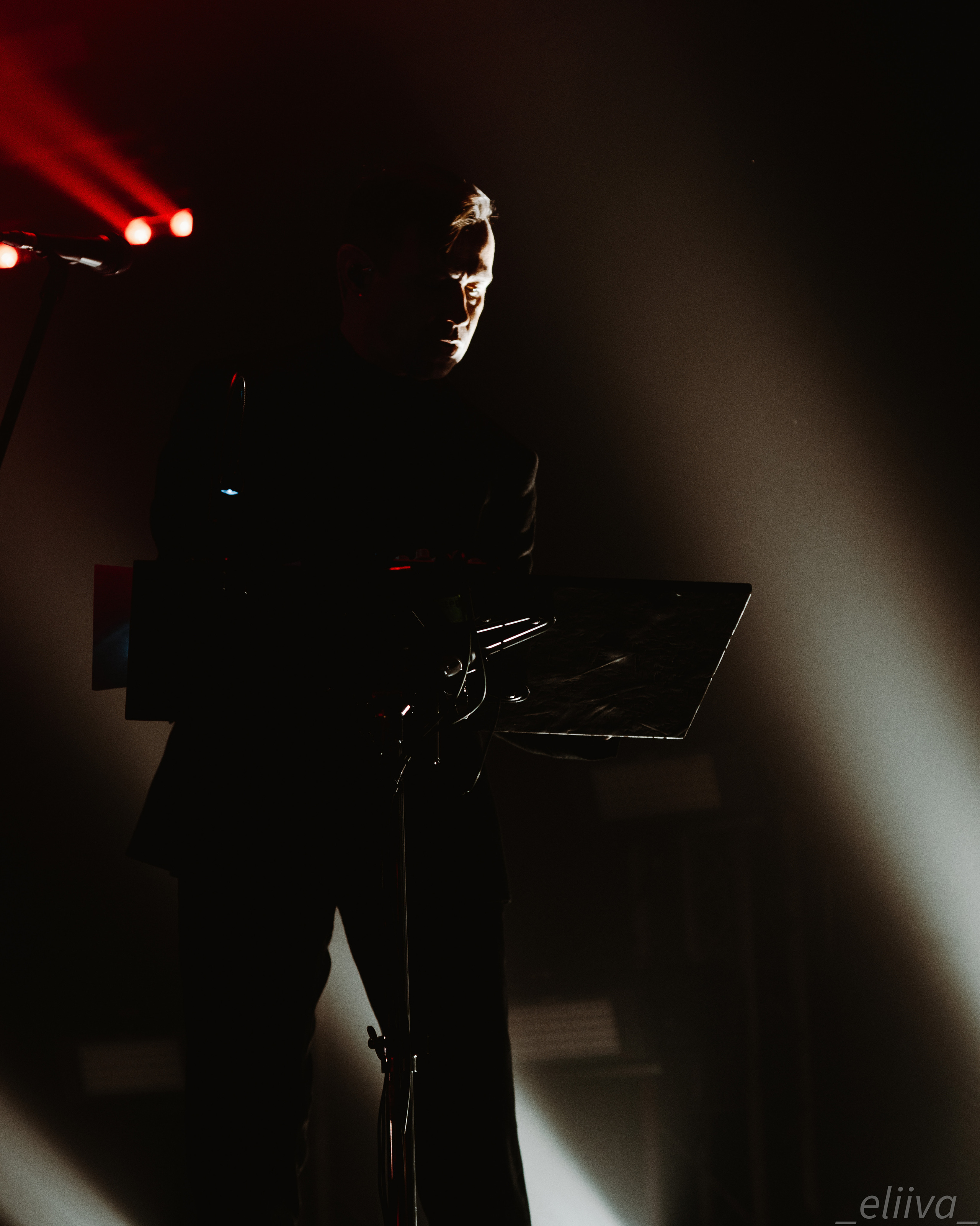 Дельфин. Концертный фотограф в Санкт-Петербурге