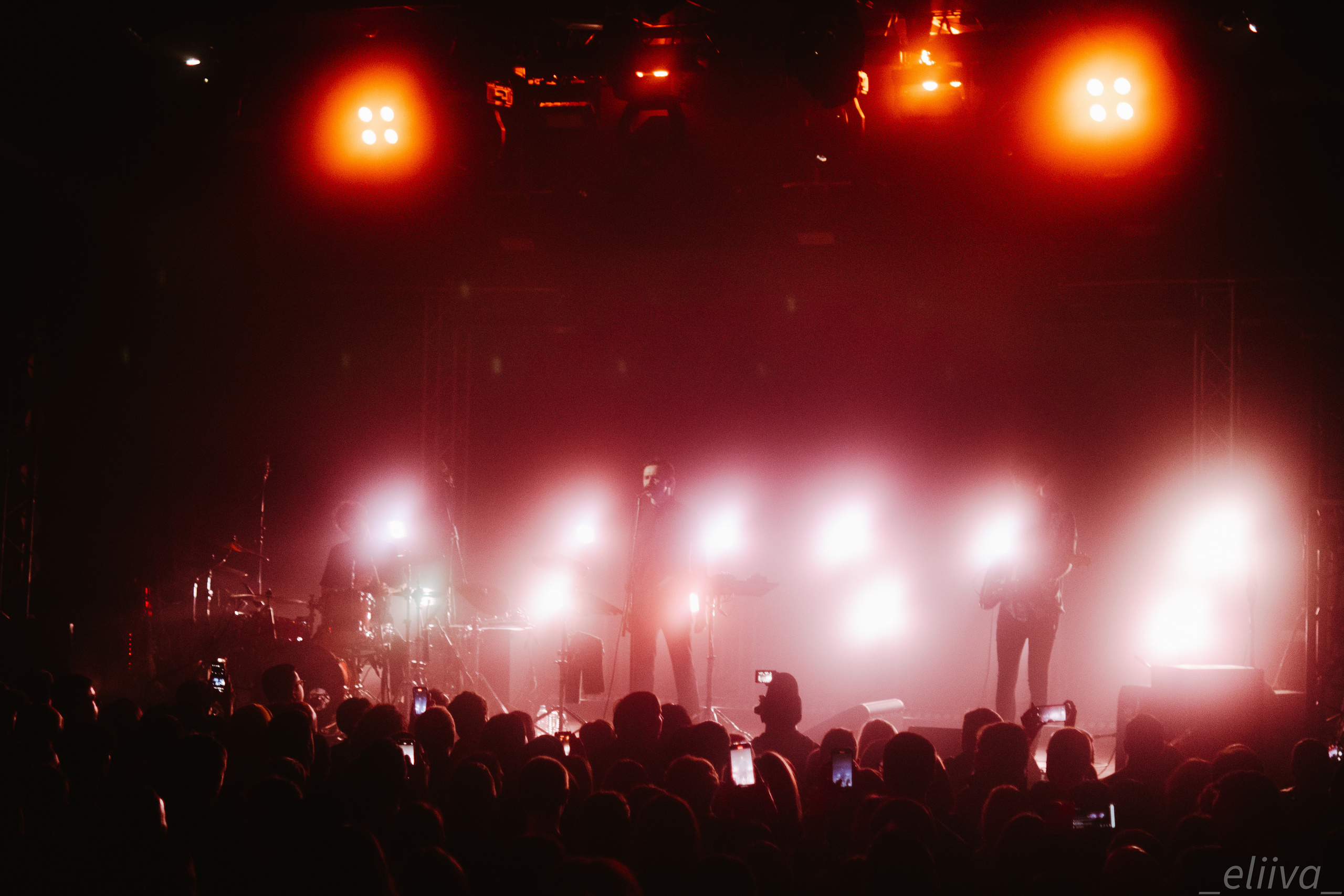 Дельфин. Концертный фотограф в Санкт-Петербурге