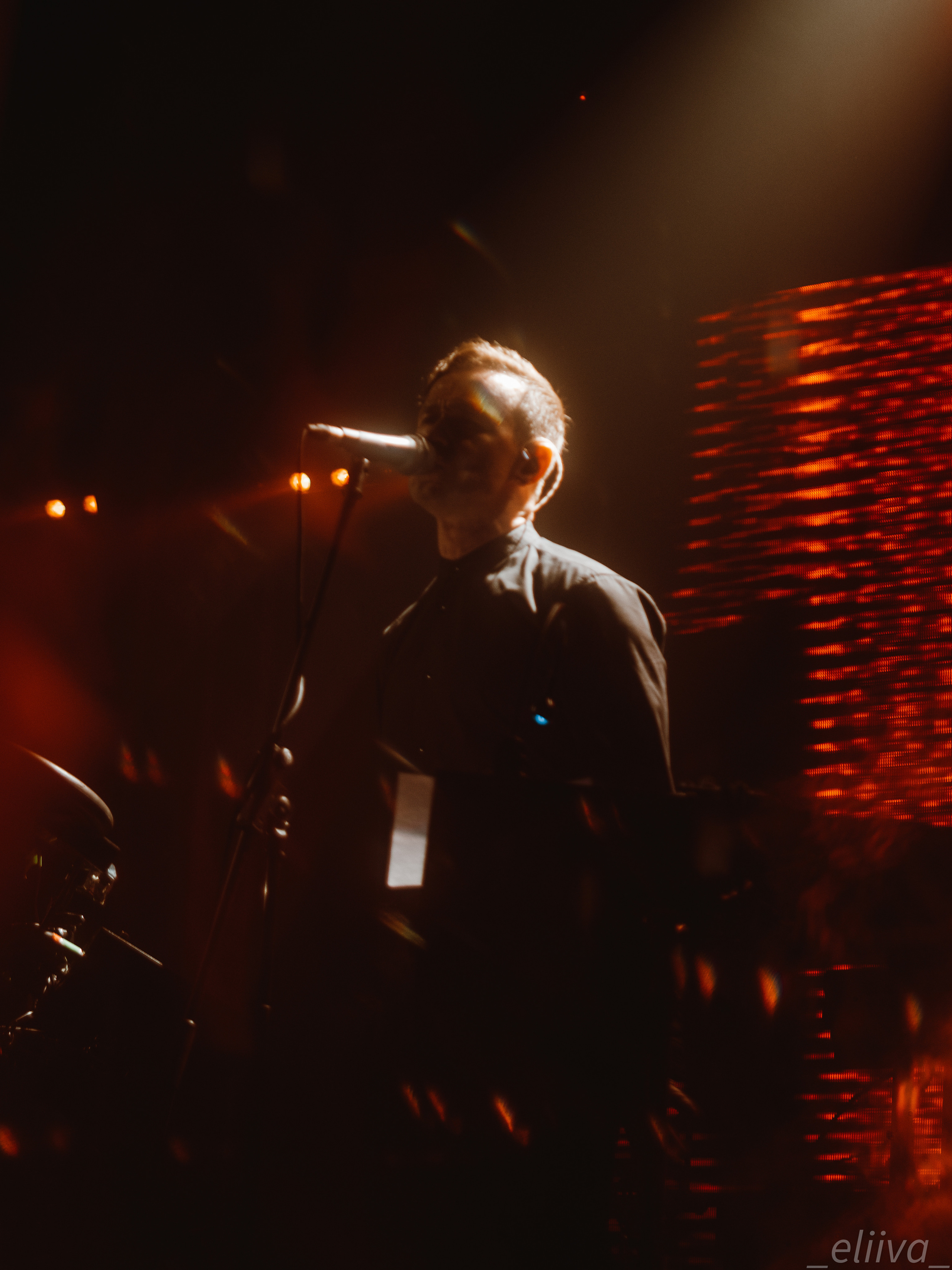 Дельфин. Концертный фотограф в Санкт-Петербурге