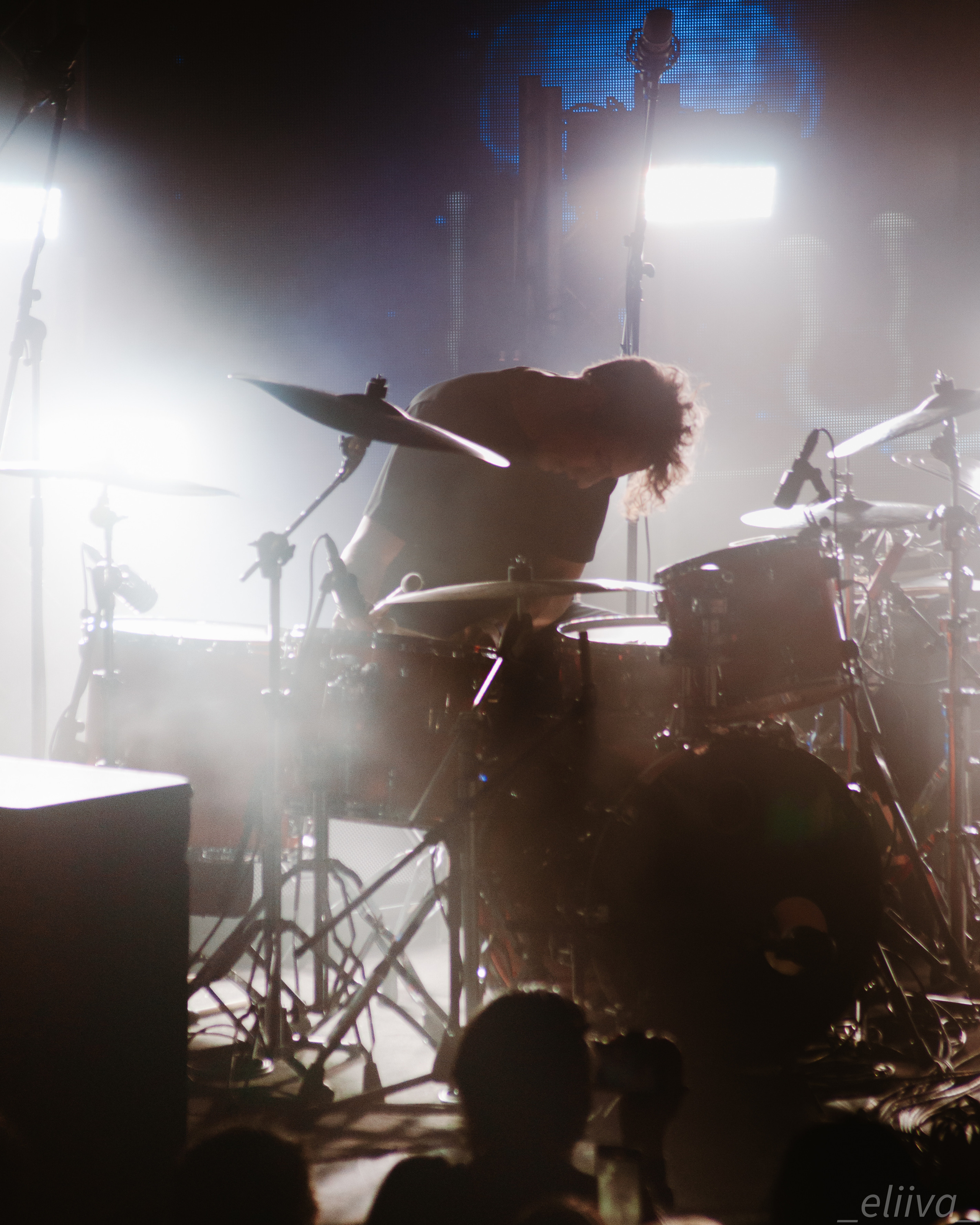 Дельфин. Концертный фотограф в Санкт-Петербурге