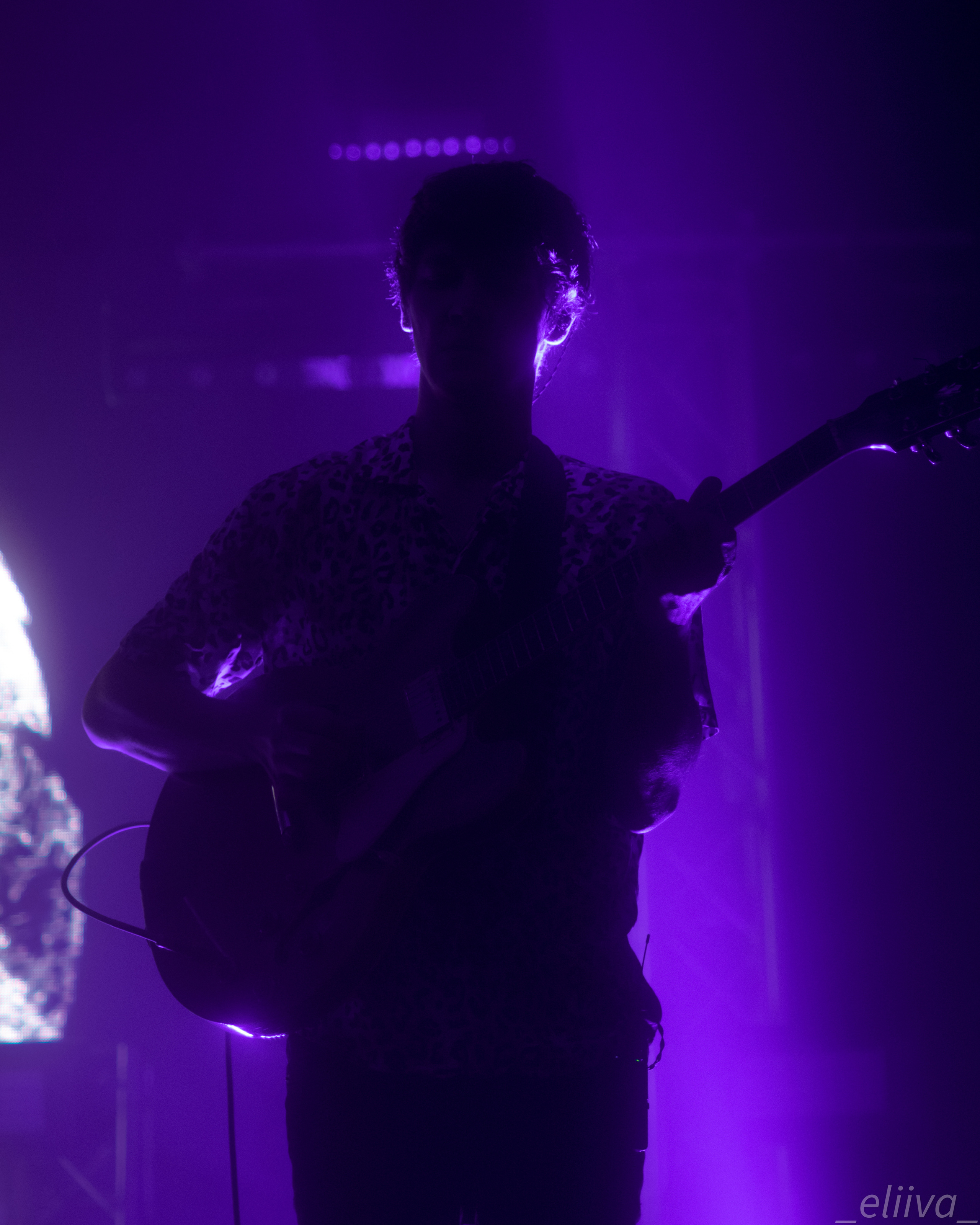 Дельфин. Концертный фотограф в Санкт-Петербурге