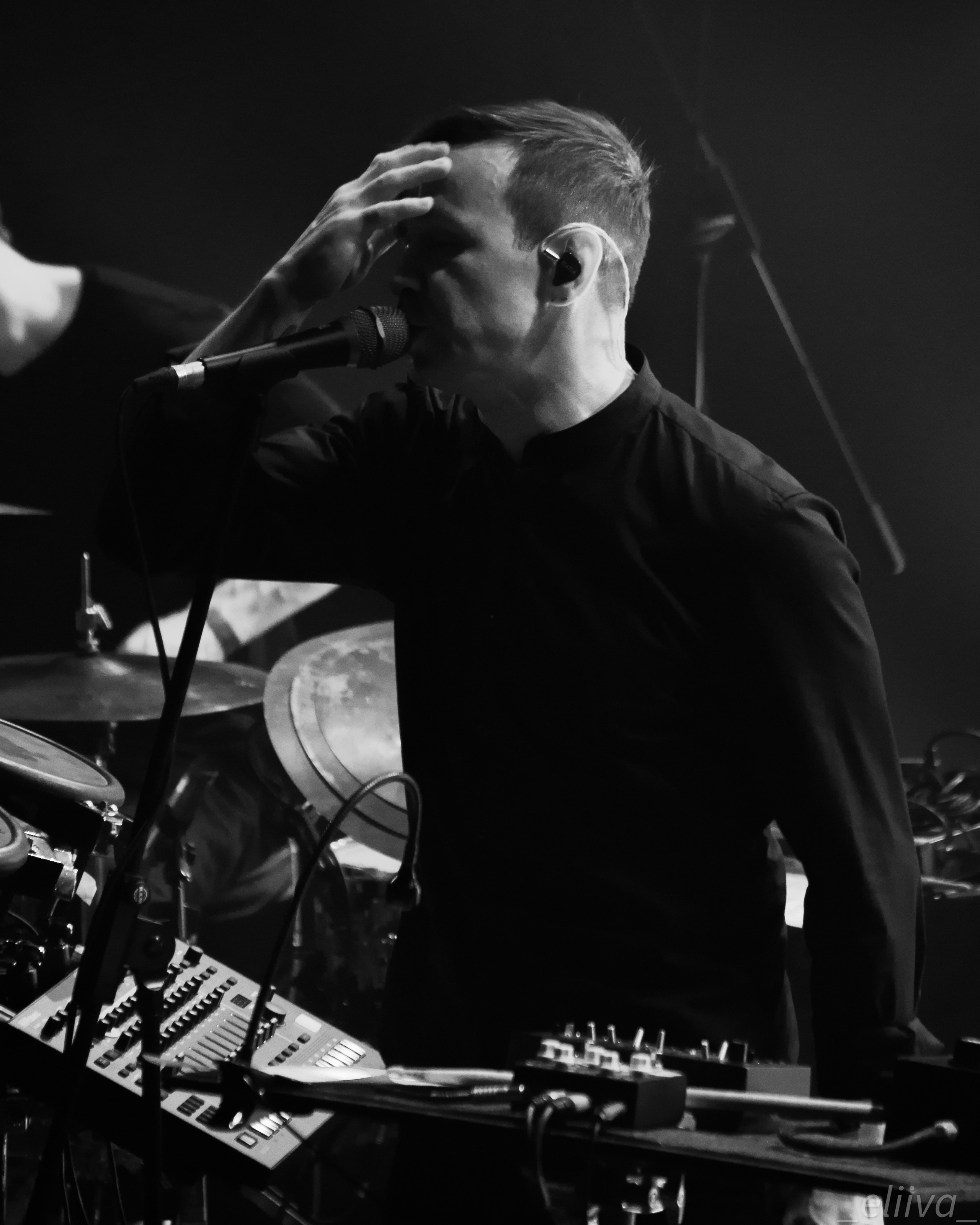 Дельфин. Концертный фотограф в Санкт-Петербурге