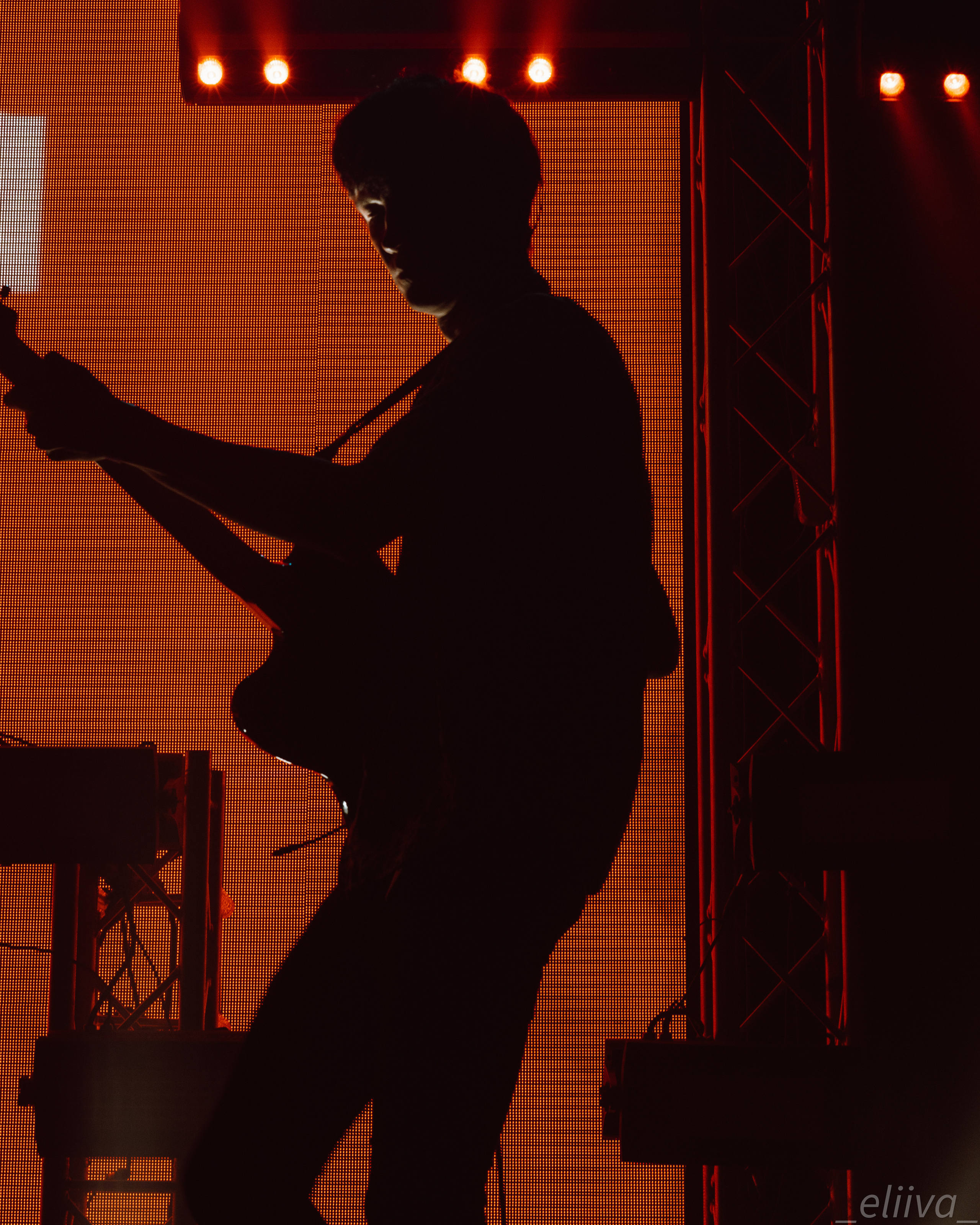 Дельфин. Концертный фотограф в Санкт-Петербурге