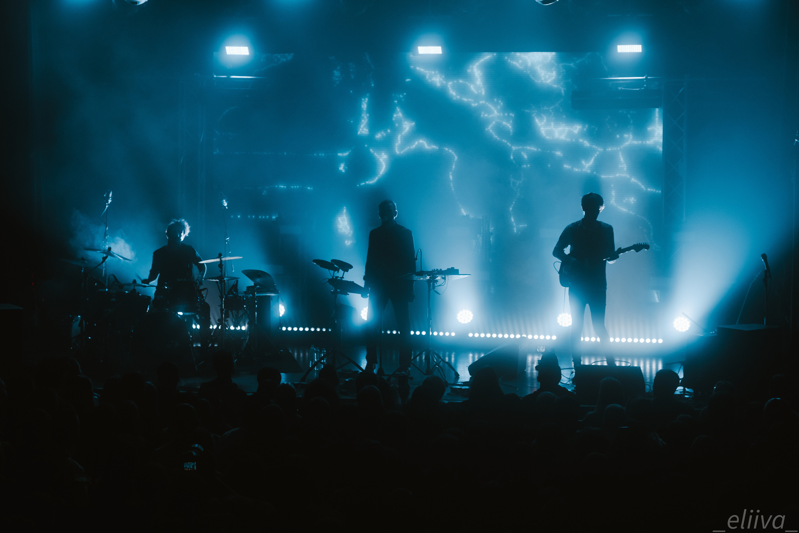 Дельфин. Концертный фотограф в Санкт-Петербурге