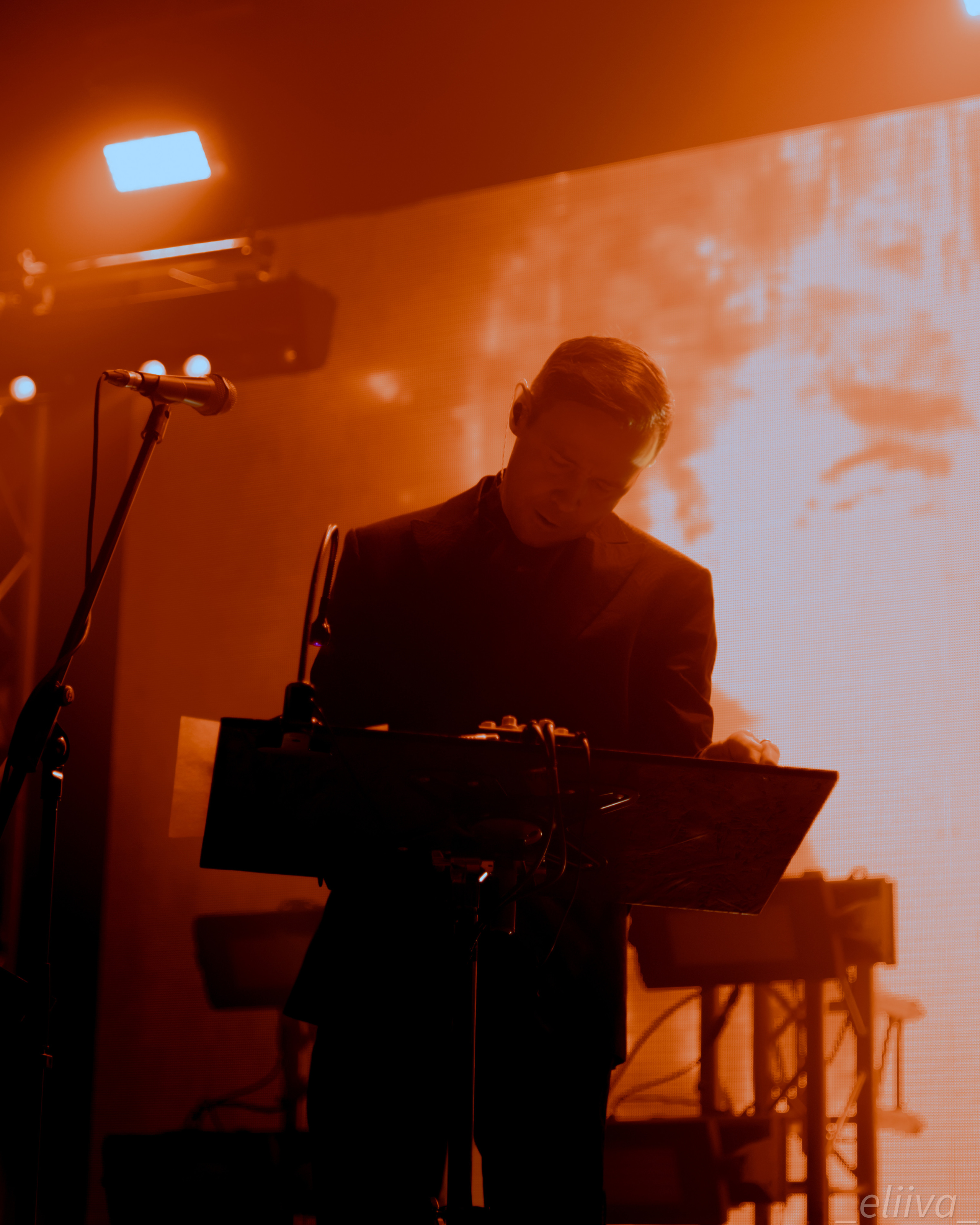 Дельфин. Концертный фотограф в Санкт-Петербурге