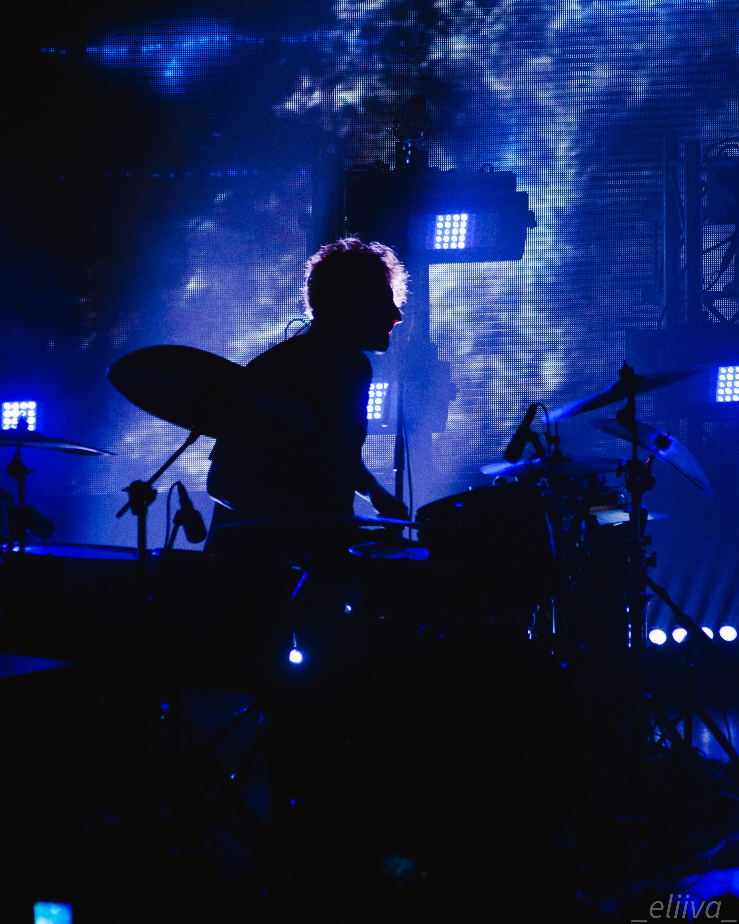 Дельфин. Концертный фотограф в Санкт-Петербурге