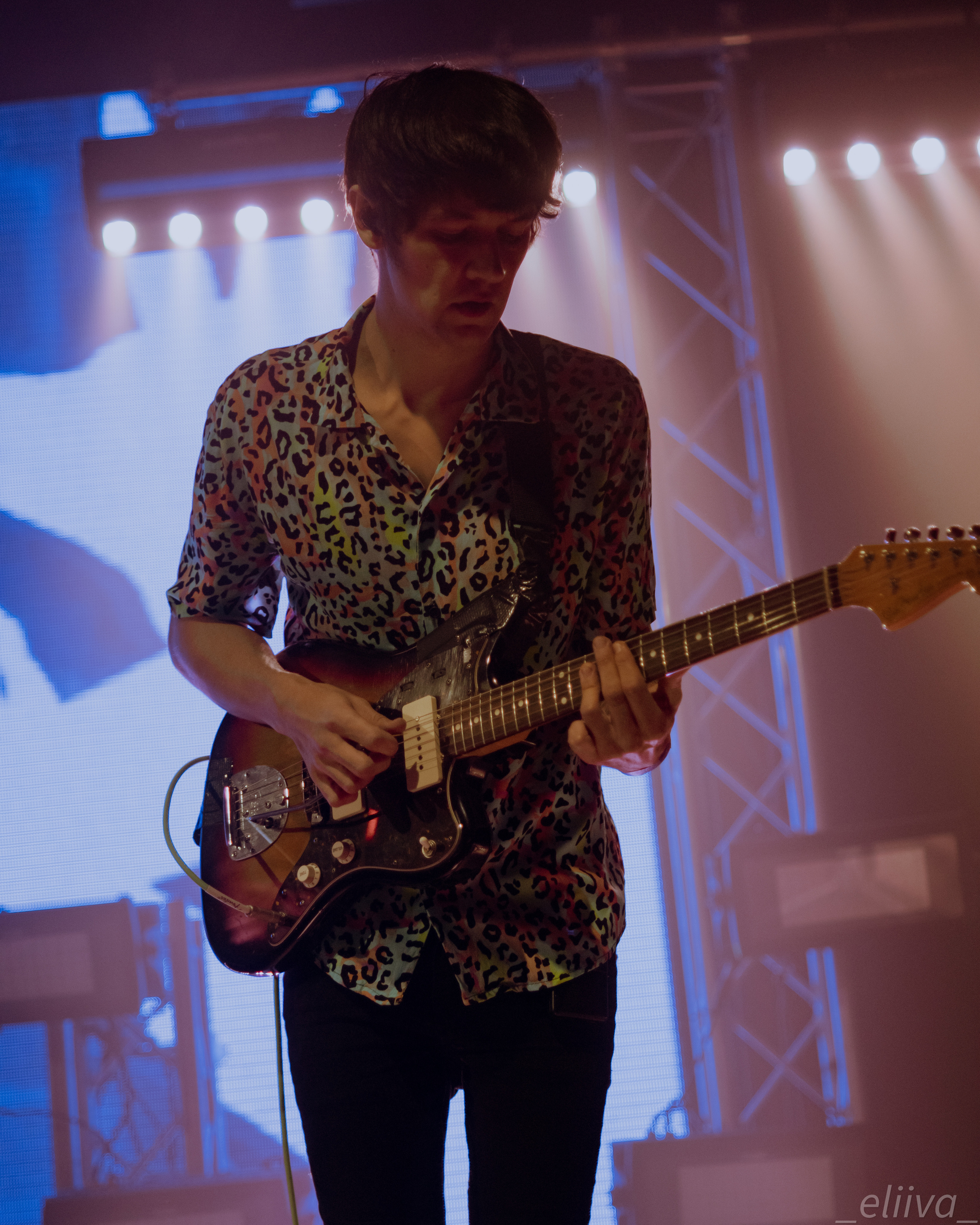 Дельфин. Концертный фотограф в Санкт-Петербурге