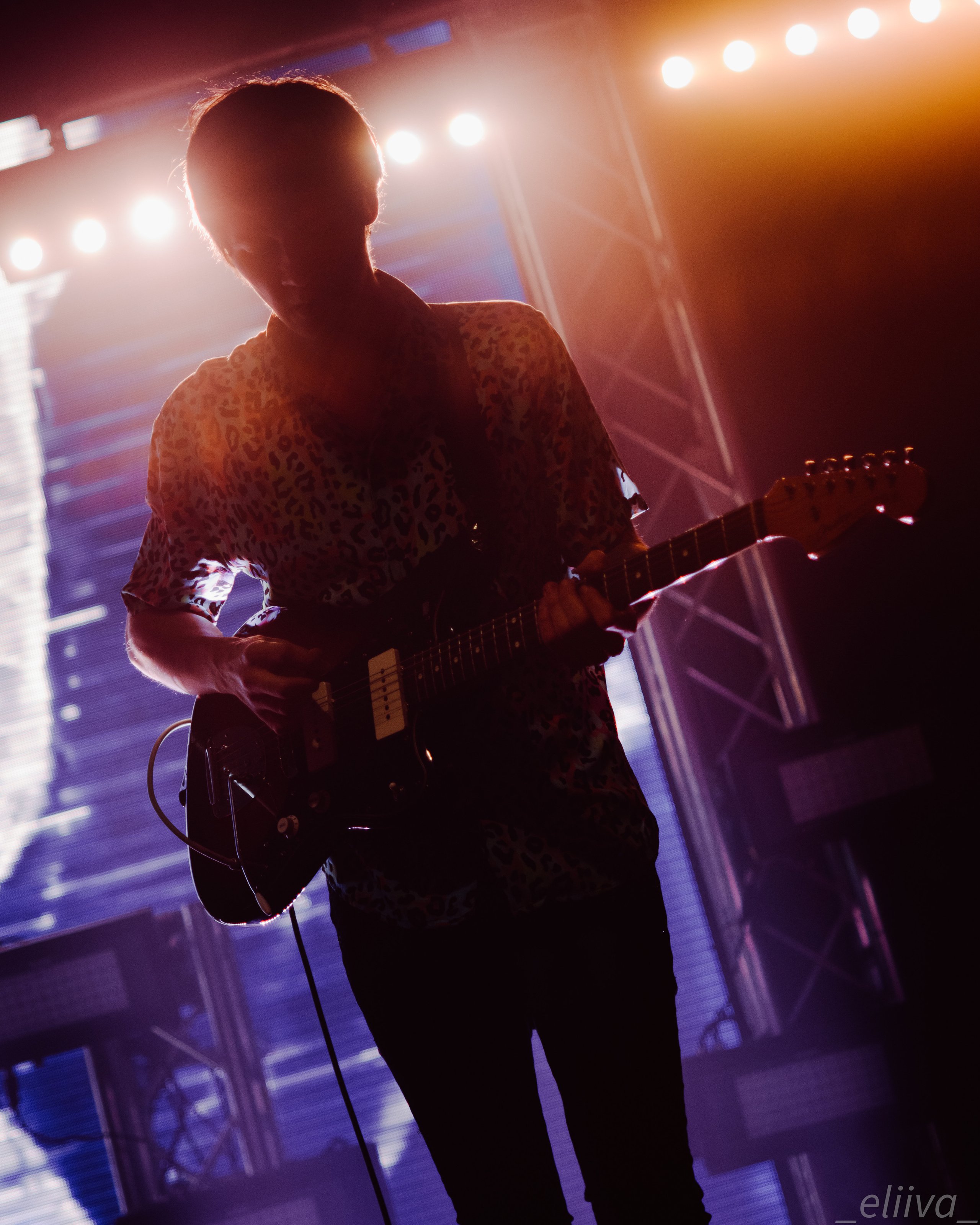 Дельфин. Концертный фотограф в Санкт-Петербурге
