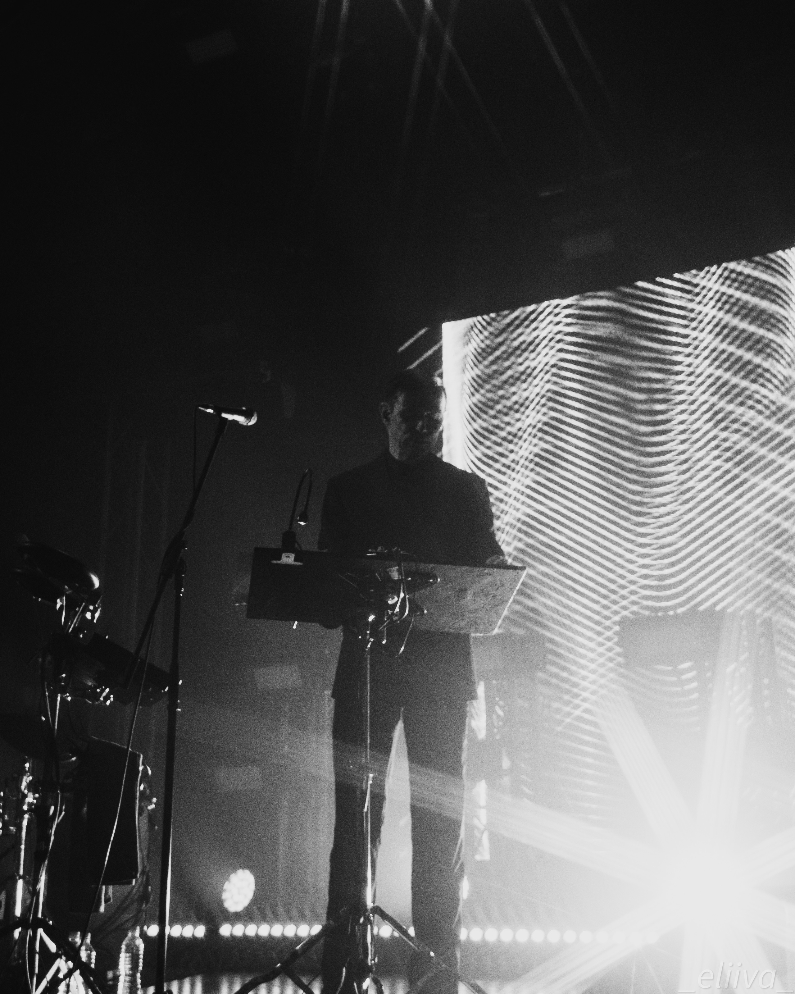 Дельфин. Концертный фотограф в Санкт-Петербурге