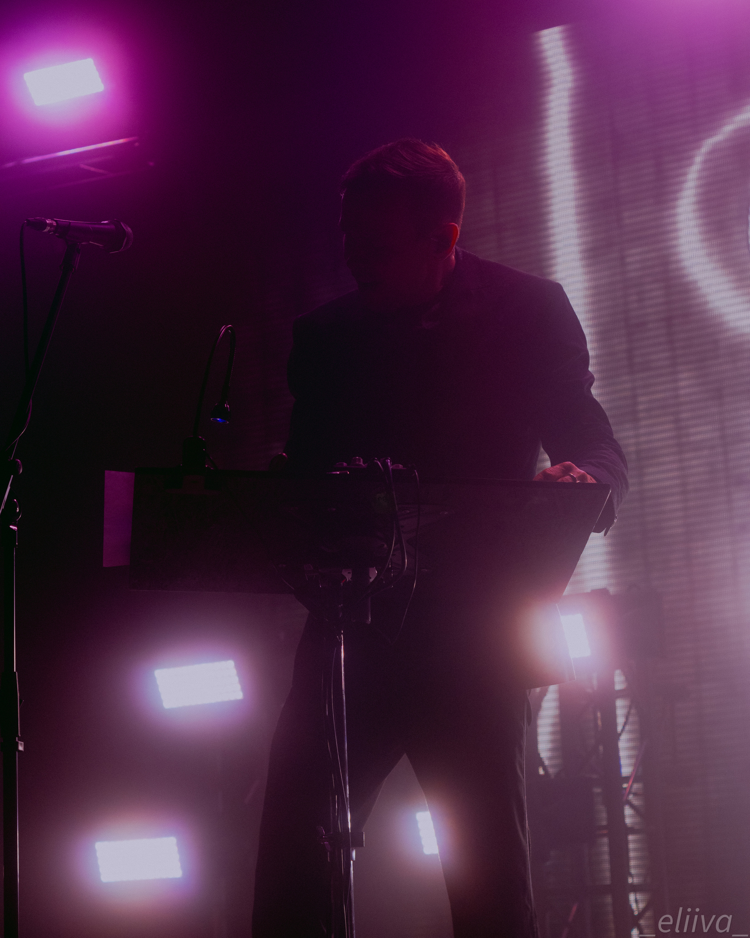 Дельфин. Концертный фотограф в Санкт-Петербурге