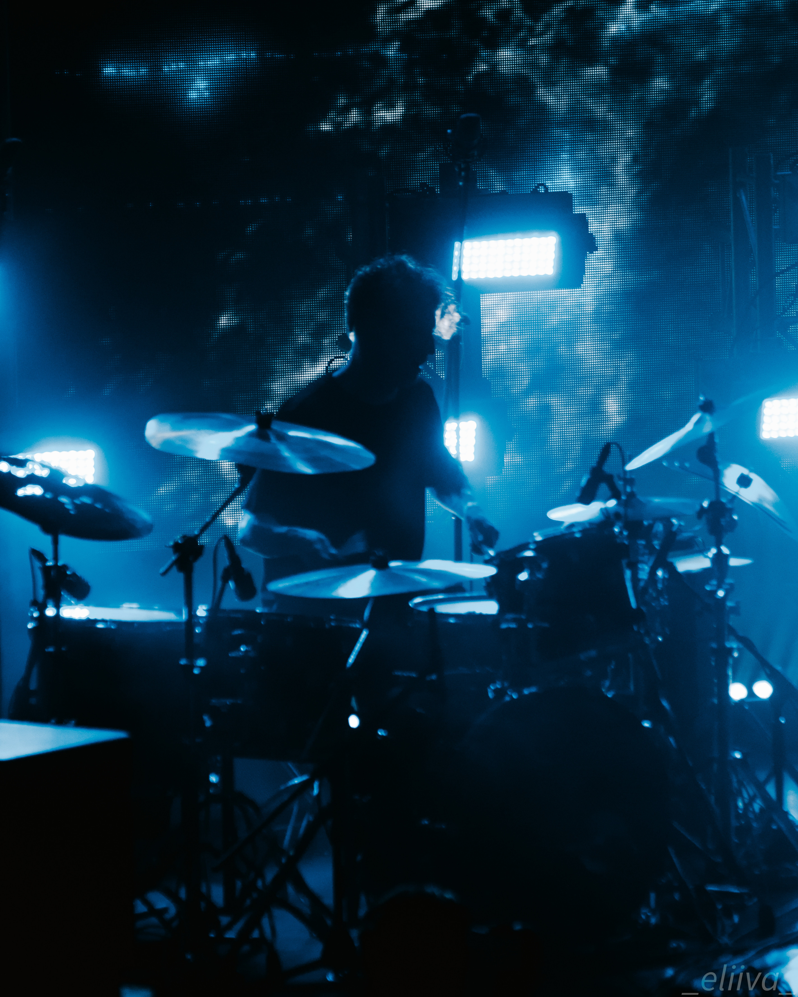 Дельфин. Концертный фотограф в Санкт-Петербурге