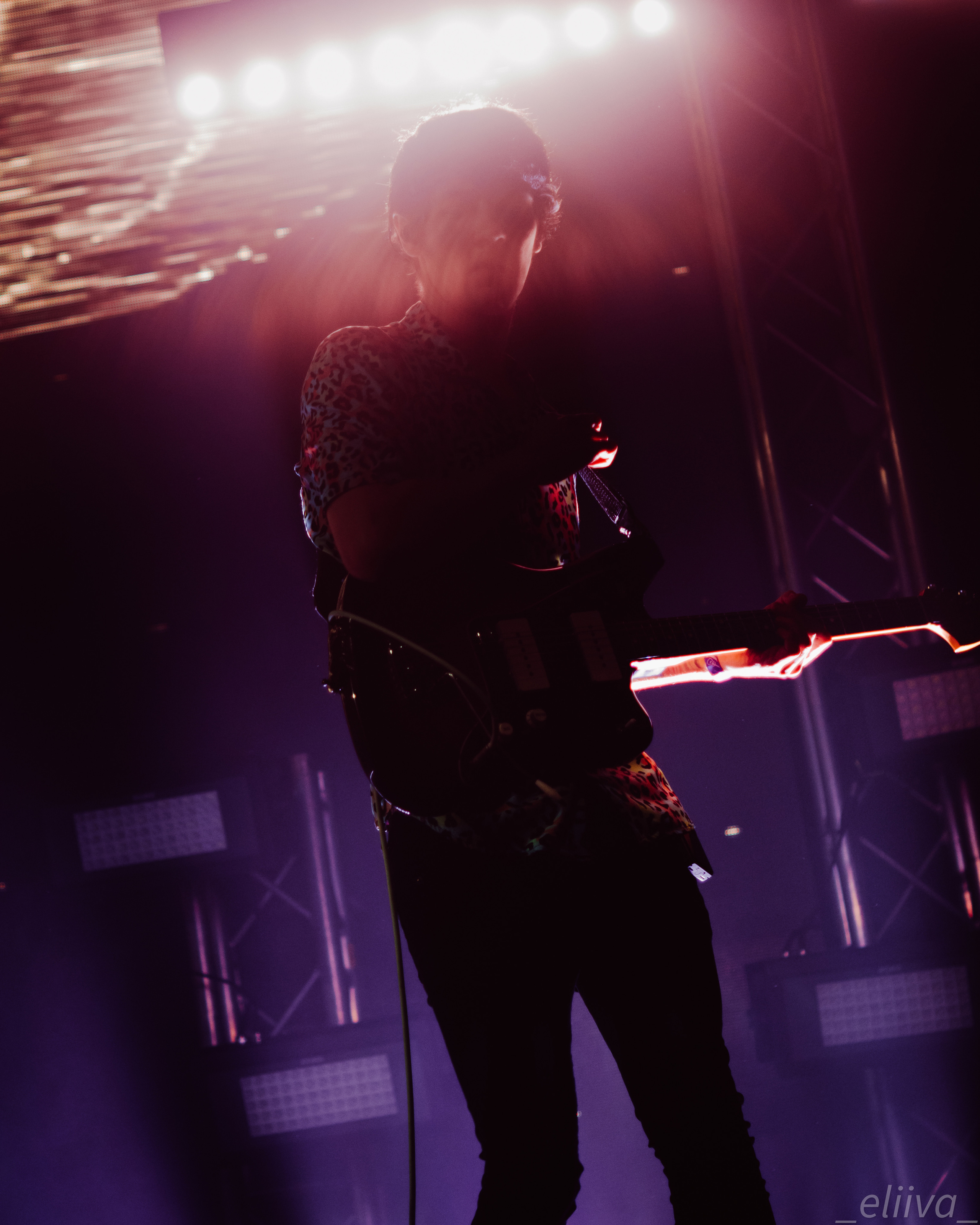 Дельфин. Концертный фотограф в Санкт-Петербурге