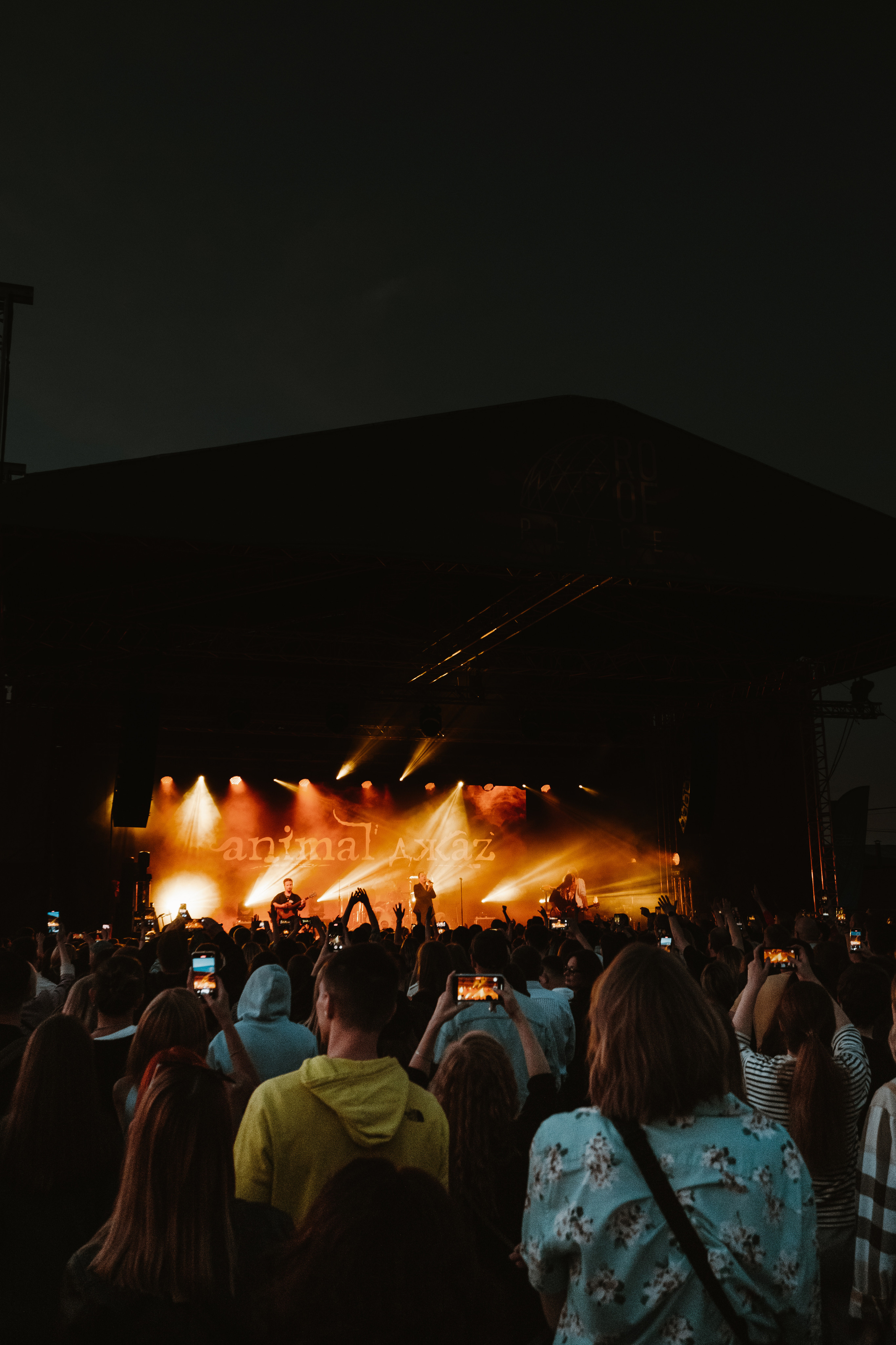 Animal Джаz. Концертный фотограф в Санкт-Петербурге
